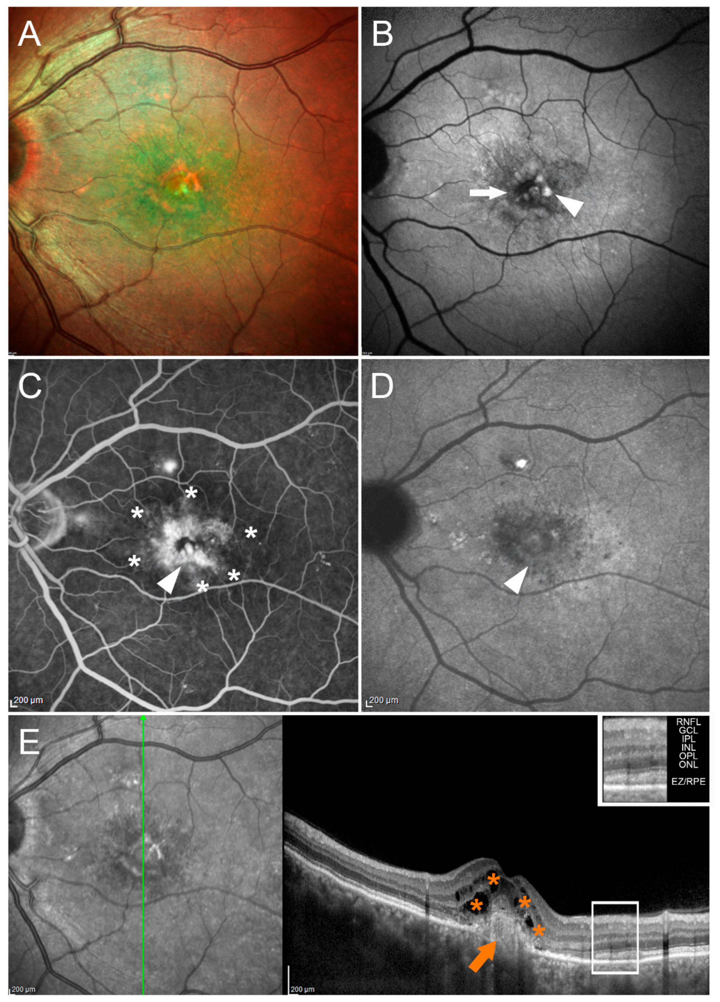 Pharmaceuticals 14 00105 g004 Pharmaceuticals 14 00105 g004