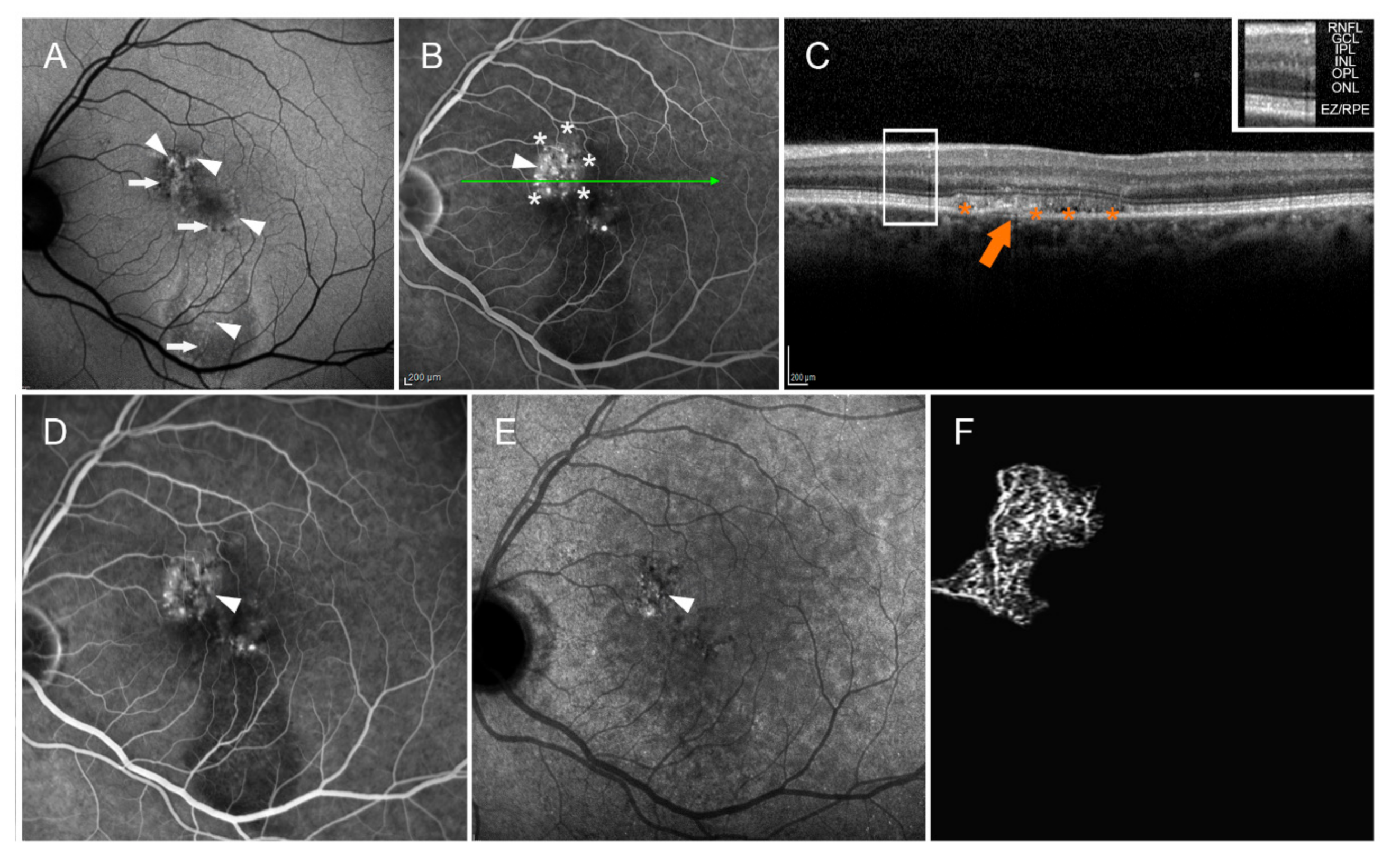 Pharmaceuticals 14 00105 g005 Pharmaceuticals 14 00105 g005