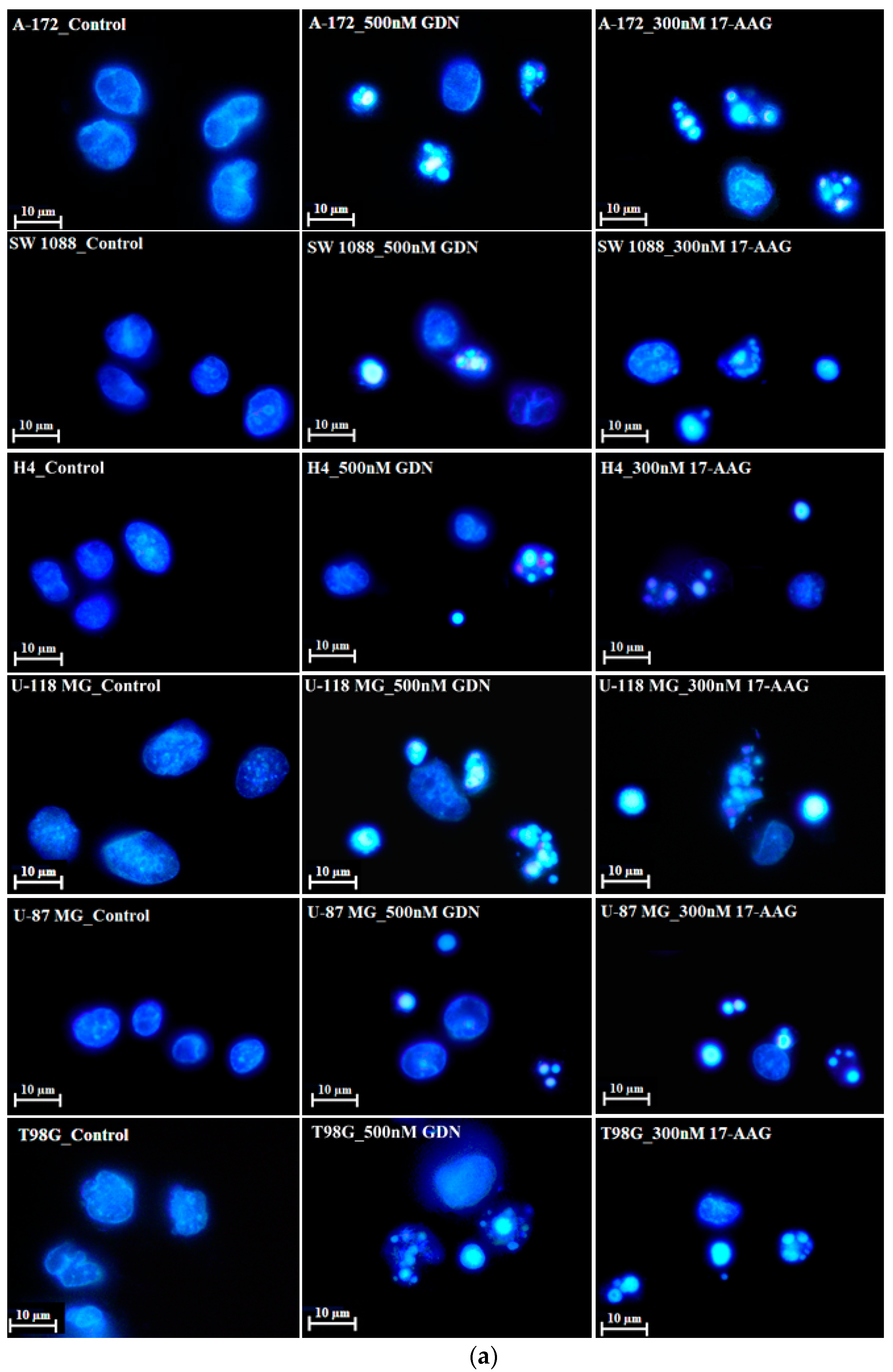 Pharmaceuticals 14 00107 g002a
