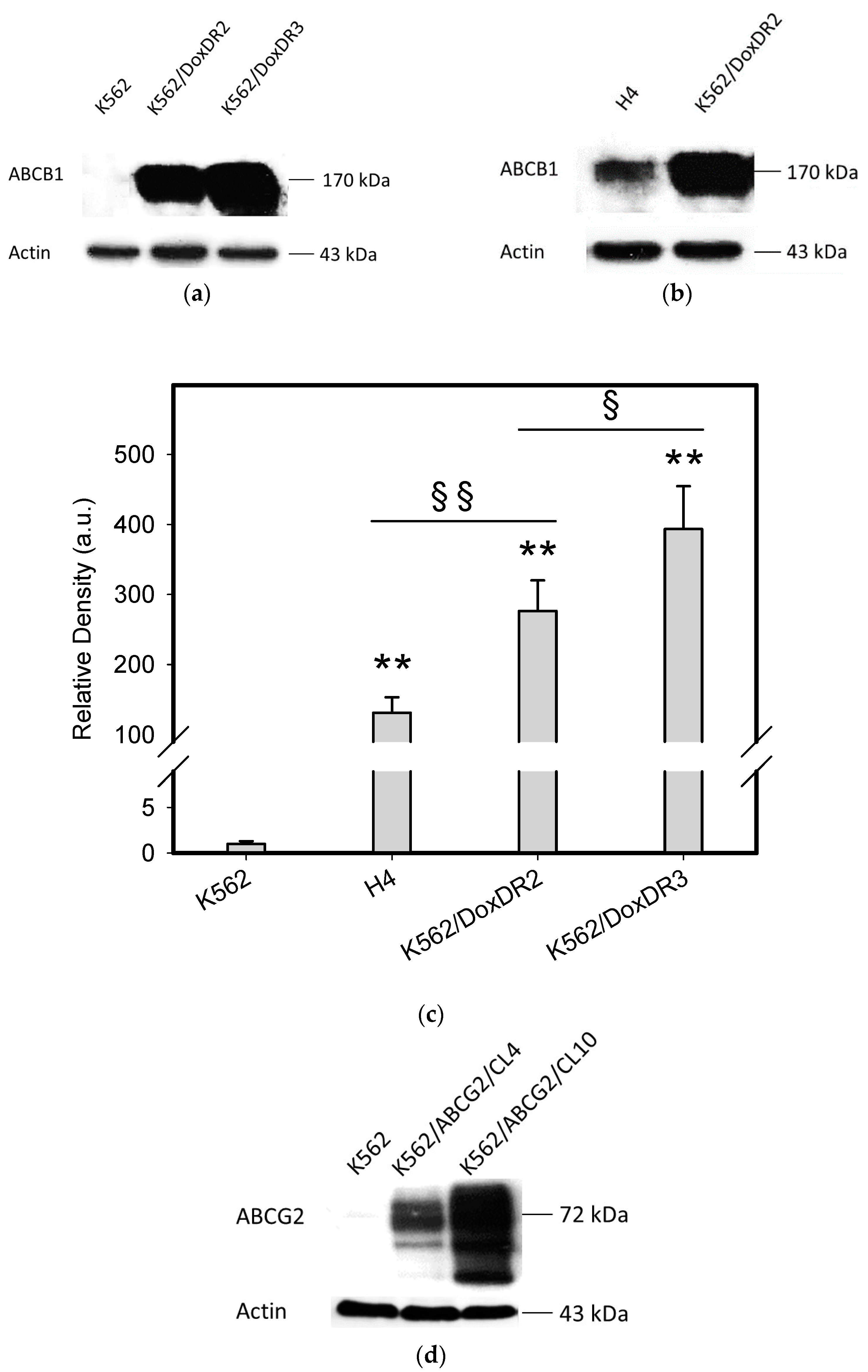 Pharmaceuticals 14 00107 g003a