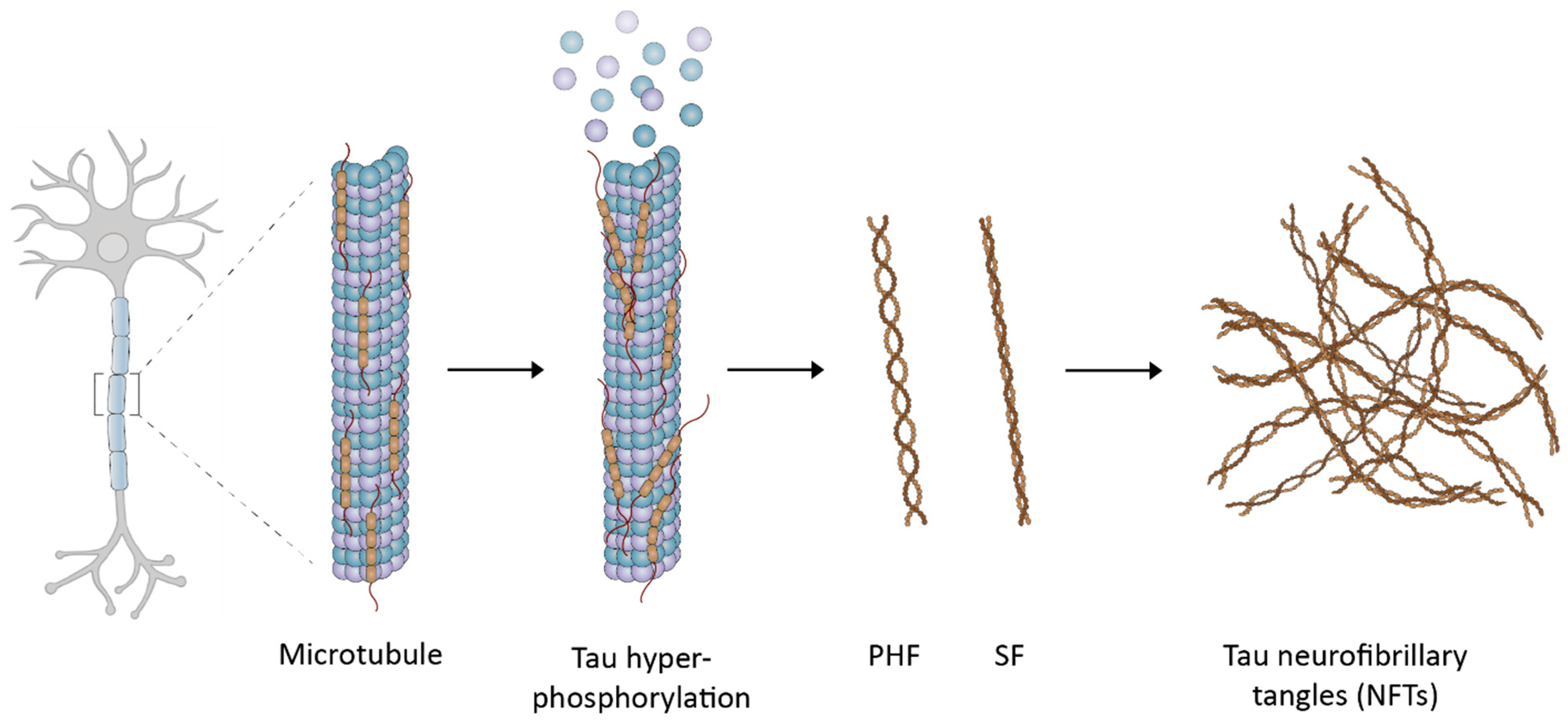Pharmaceuticals 14 00110 g002