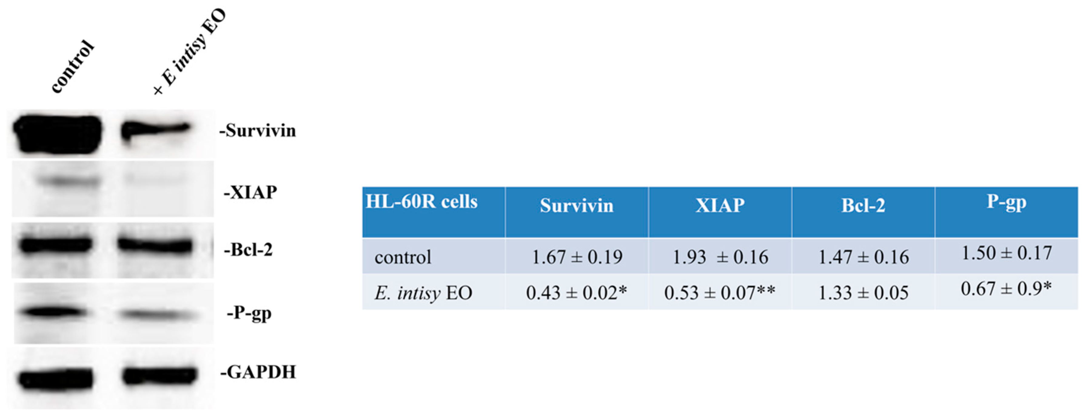 Pharmaceuticals 14 00111 g006 Pharmaceuticals 14 00111 g006