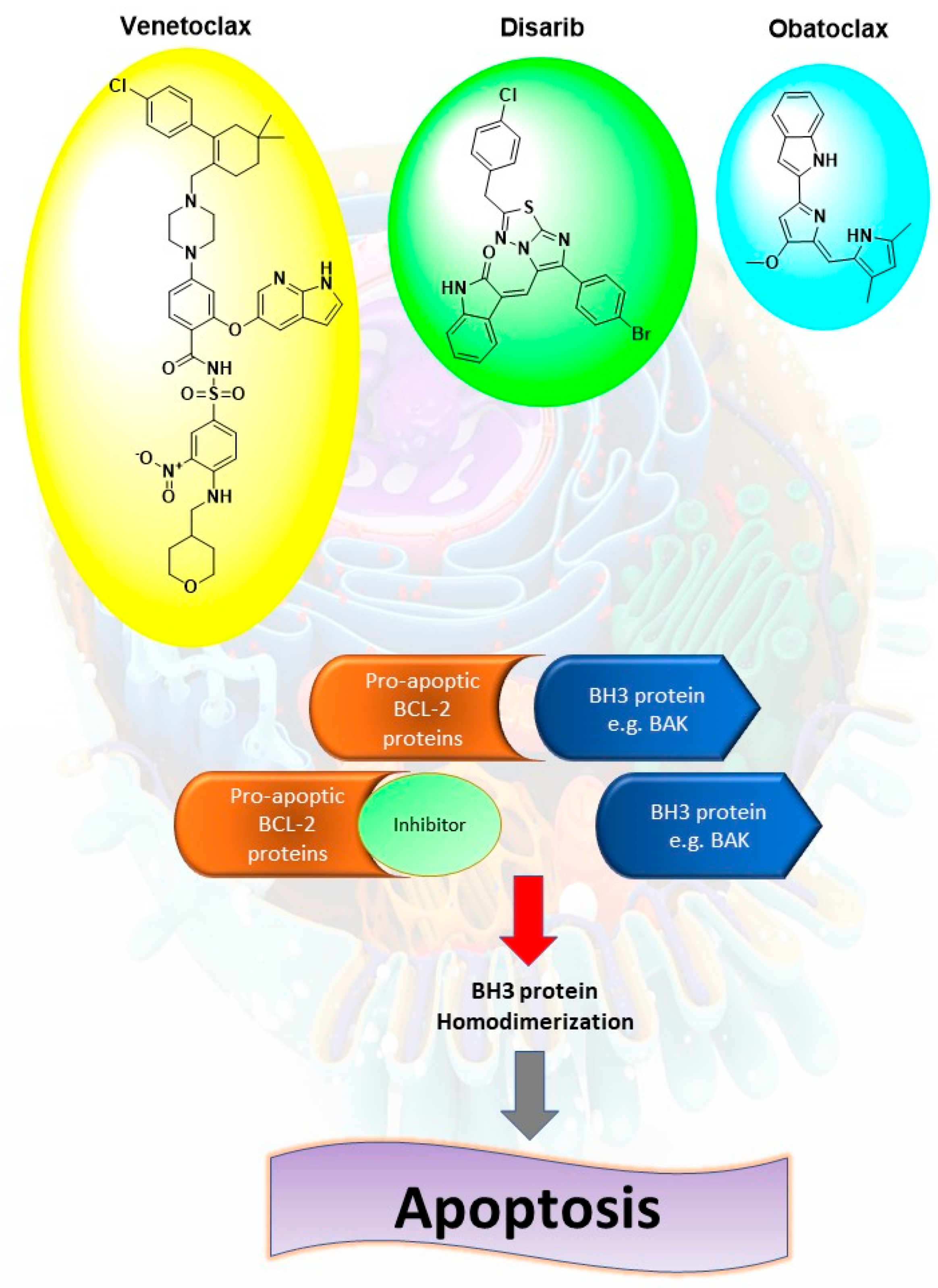 Pharmaceuticals 14 00113 g001