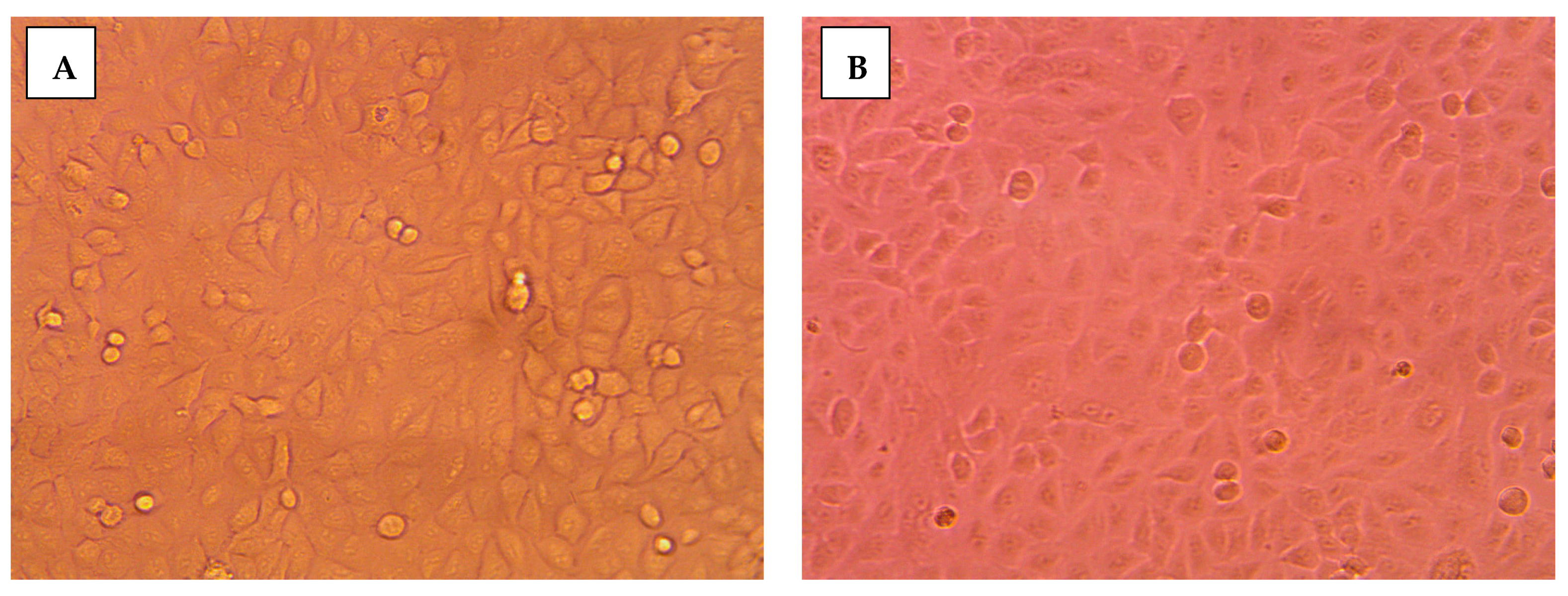 Pharmaceuticals 14 00113 g005a