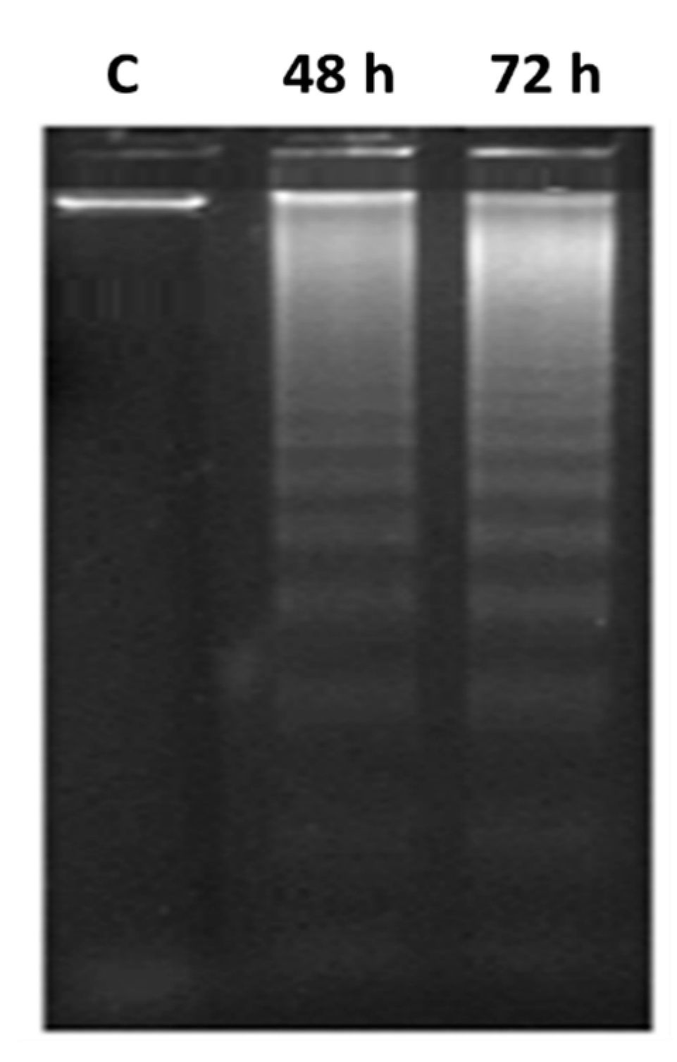 Pharmaceuticals 14 00113 g008