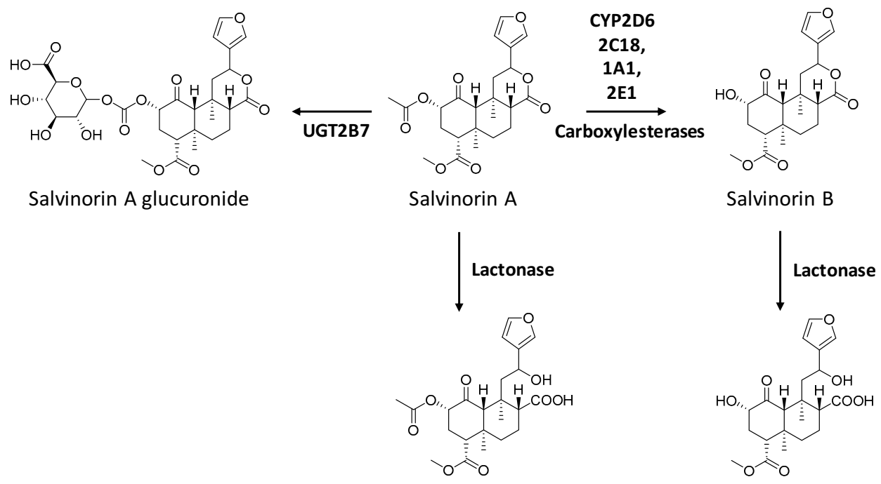 Pharmaceuticals 14 00116 g003 Pharmaceuticals 14 00116 g003