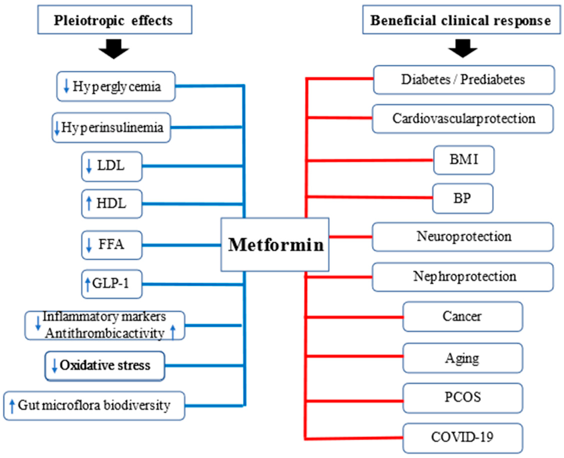 Pharmaceuticals free full text the current and potential