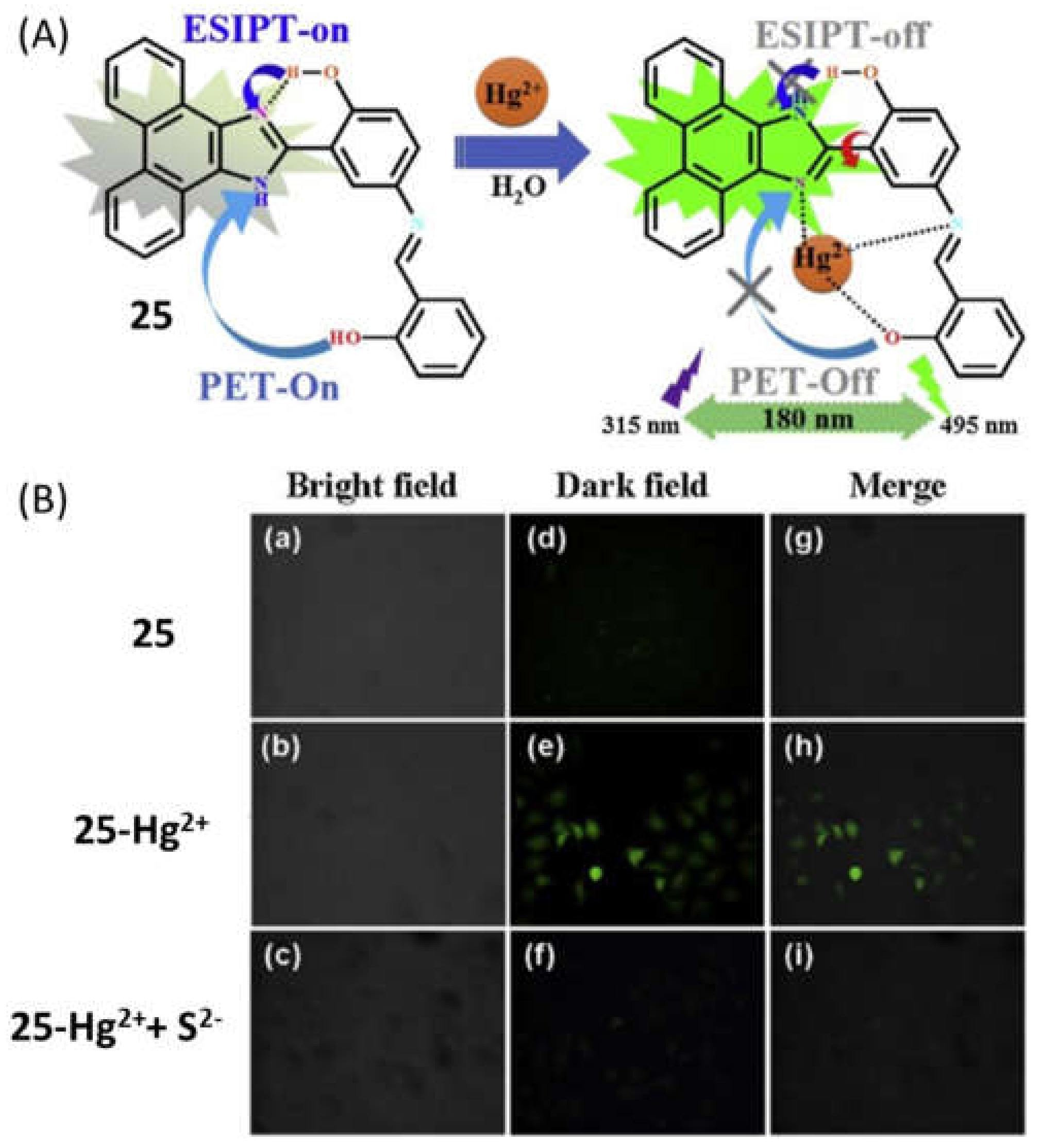 Pharmaceuticals 14 00123 g010 Pharmaceuticals 14 00123 g010