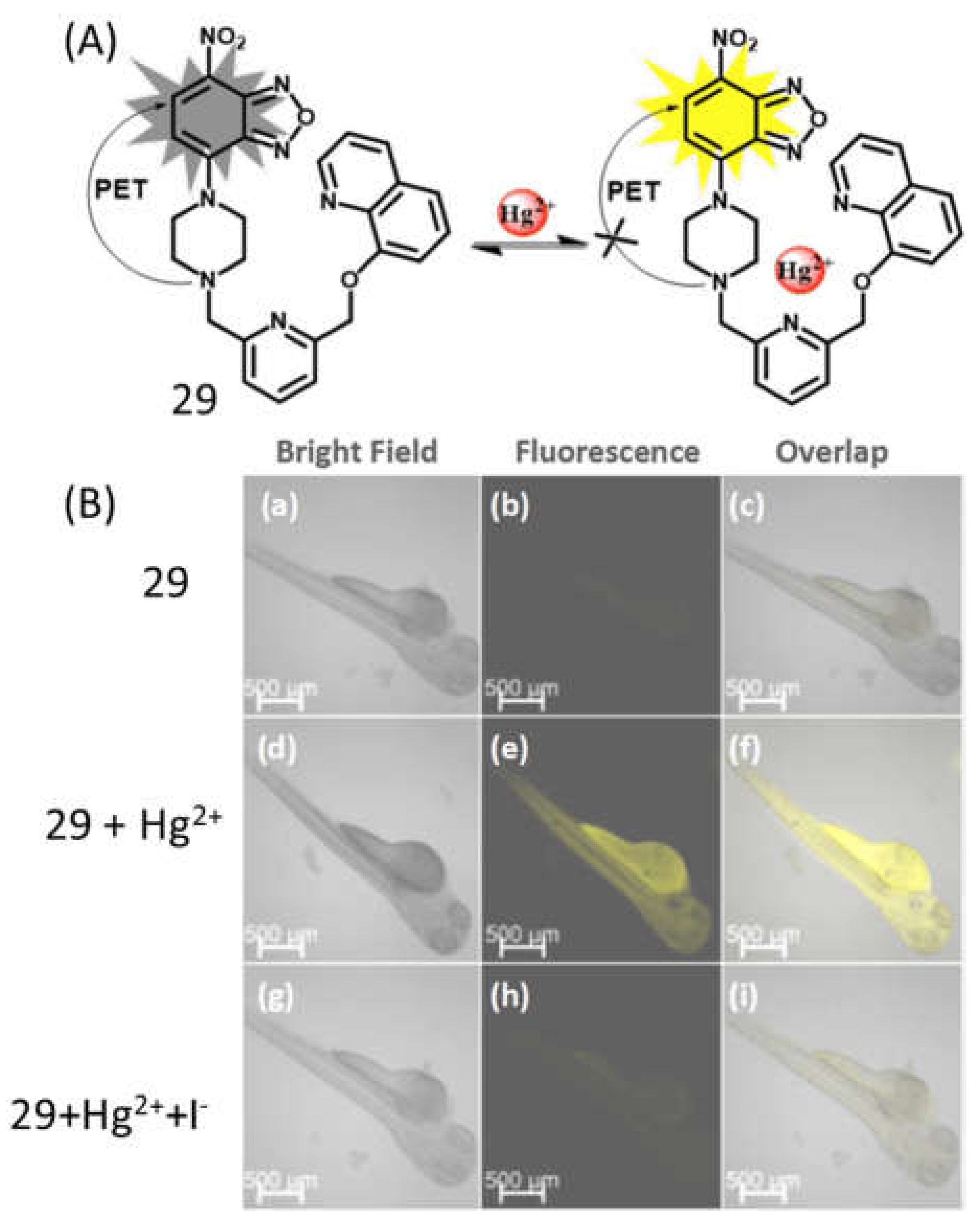 Pharmaceuticals 14 00123 g012 Pharmaceuticals 14 00123 g012
