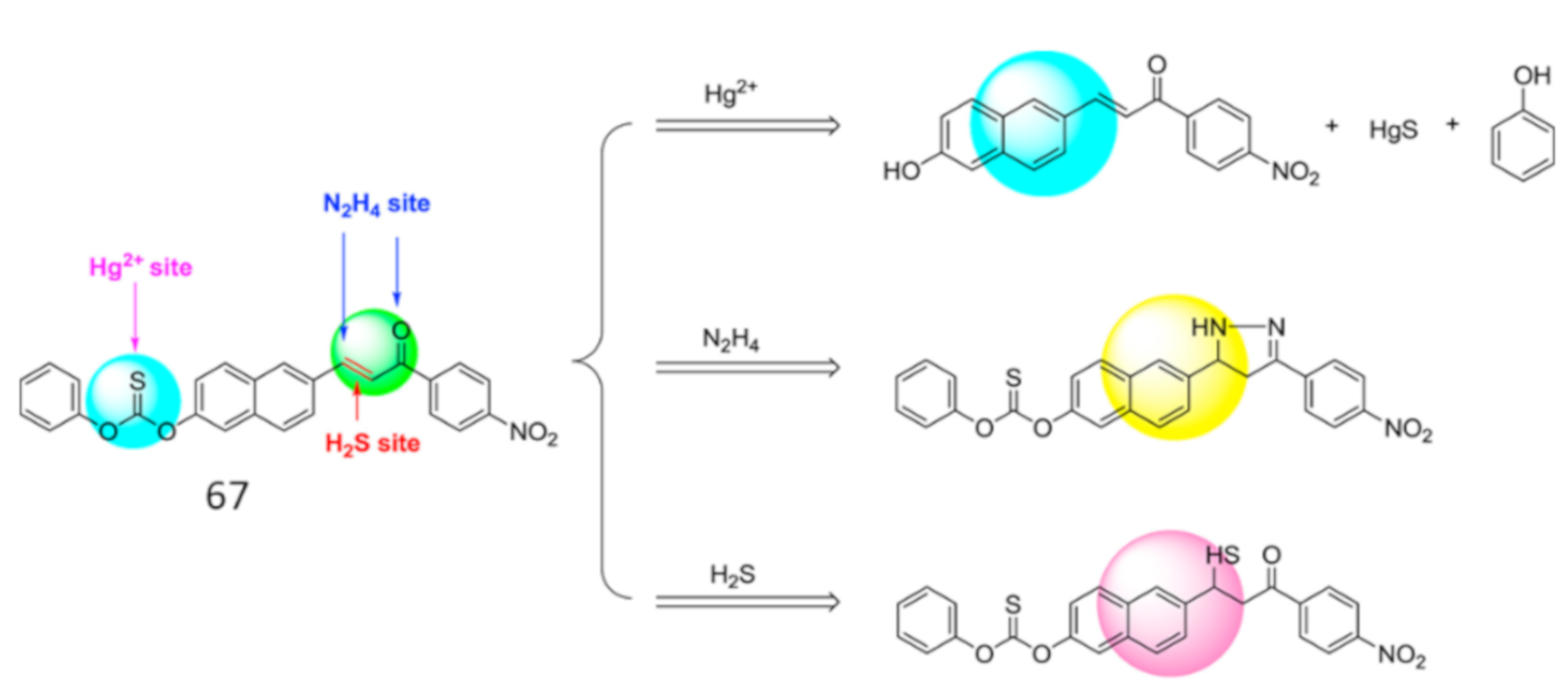 Pharmaceuticals 14 00123 g024 Pharmaceuticals 14 00123 g024