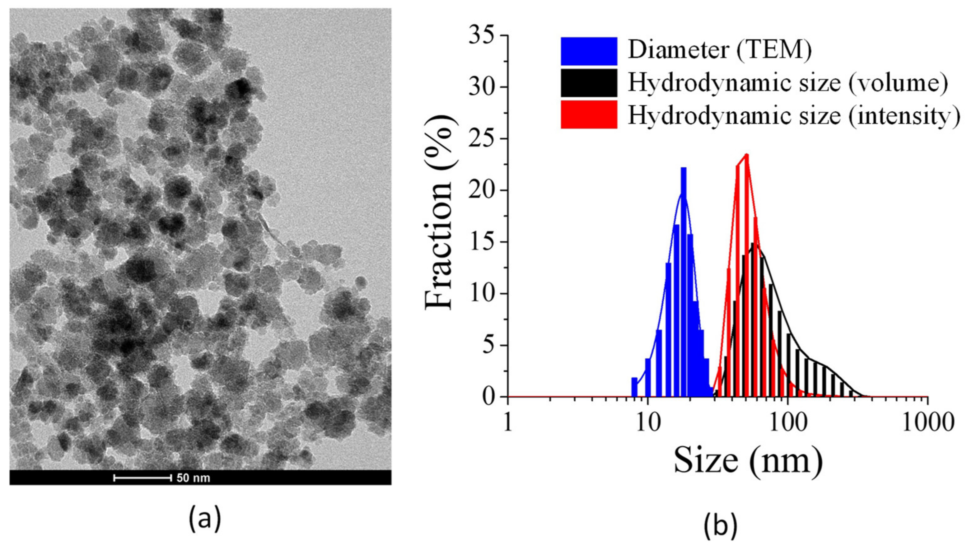 Pharmaceuticals 14 00124 g002