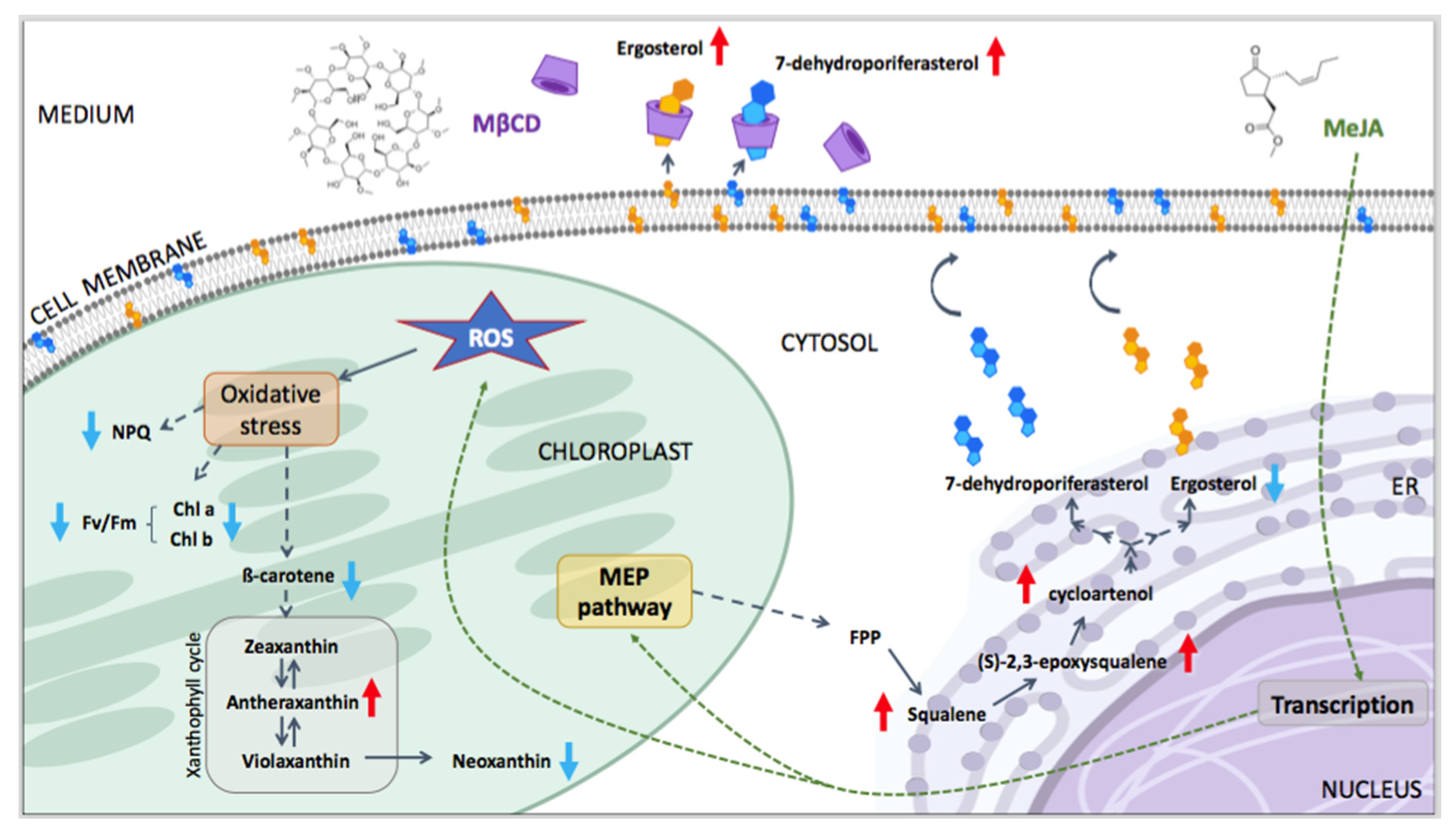 Pharmaceuticals 14 00125 g003 Pharmaceuticals 14 00125 g003