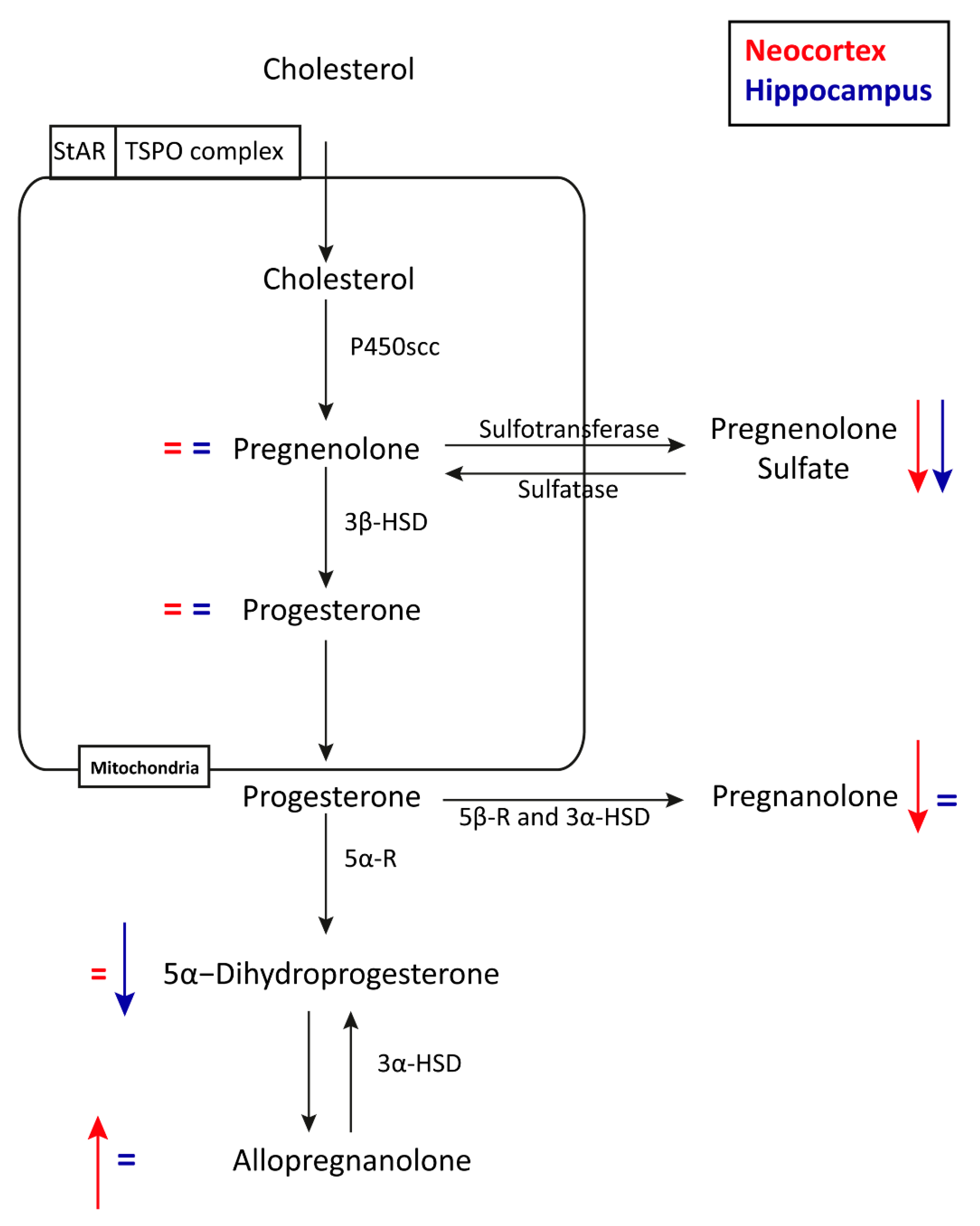 Pharmaceuticals 14 00127 g005 Pharmaceuticals 14 00127 g005