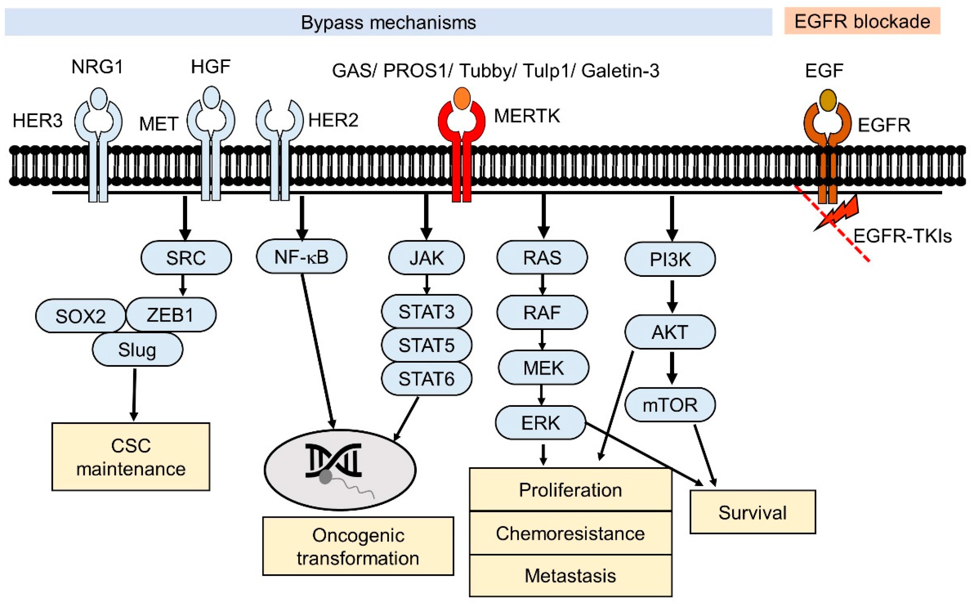 Pharmaceuticals 14 00130 g001