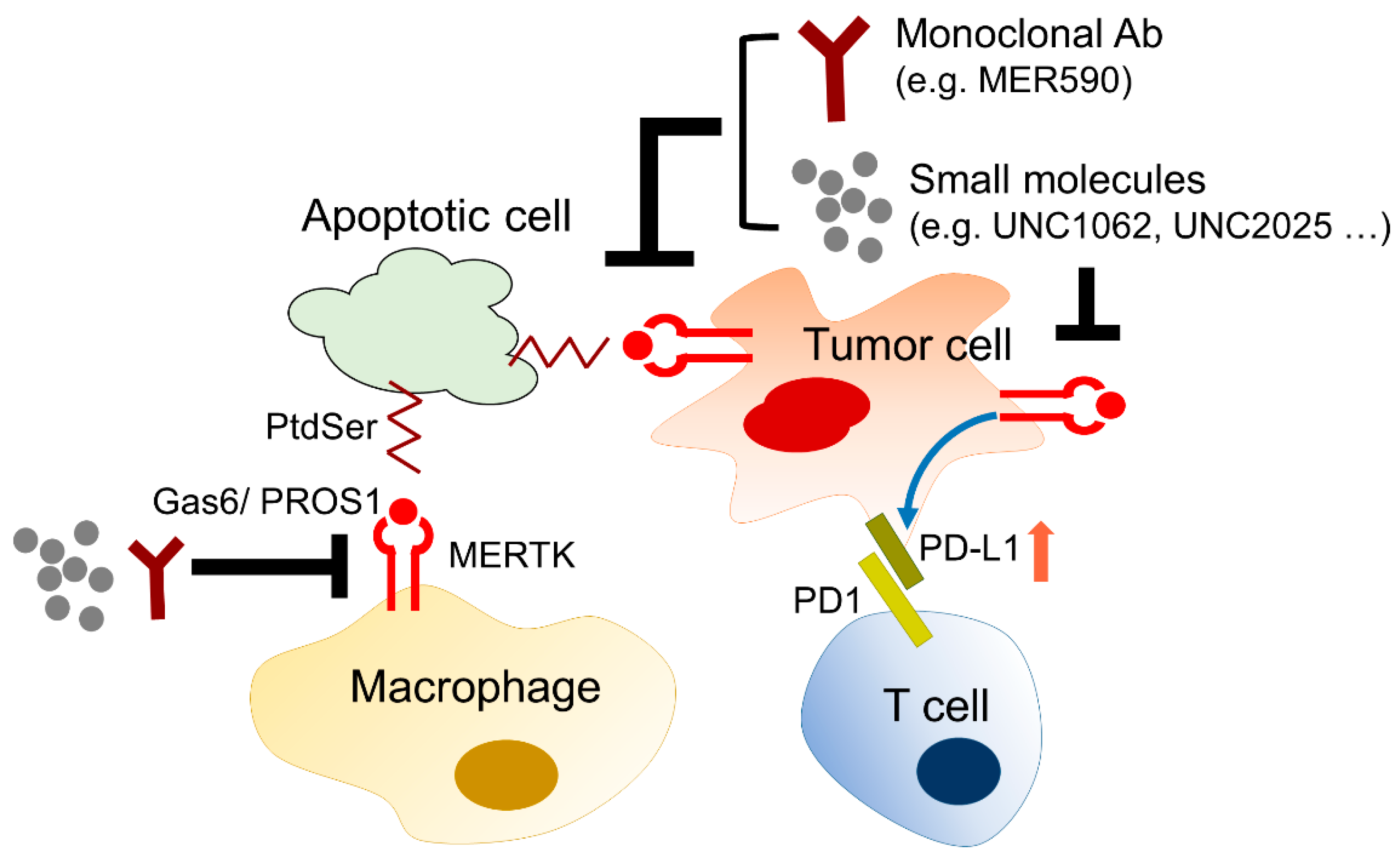 Pharmaceuticals 14 00130 g006