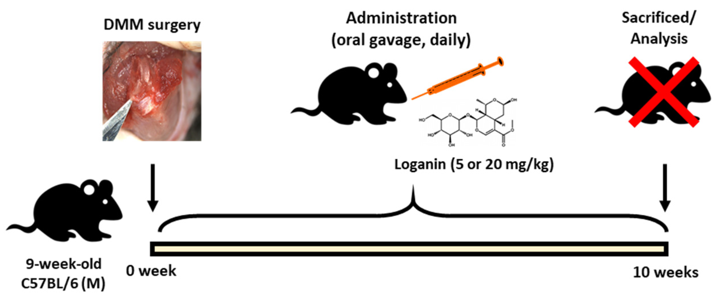 Pharmaceuticals 14 00135 g005