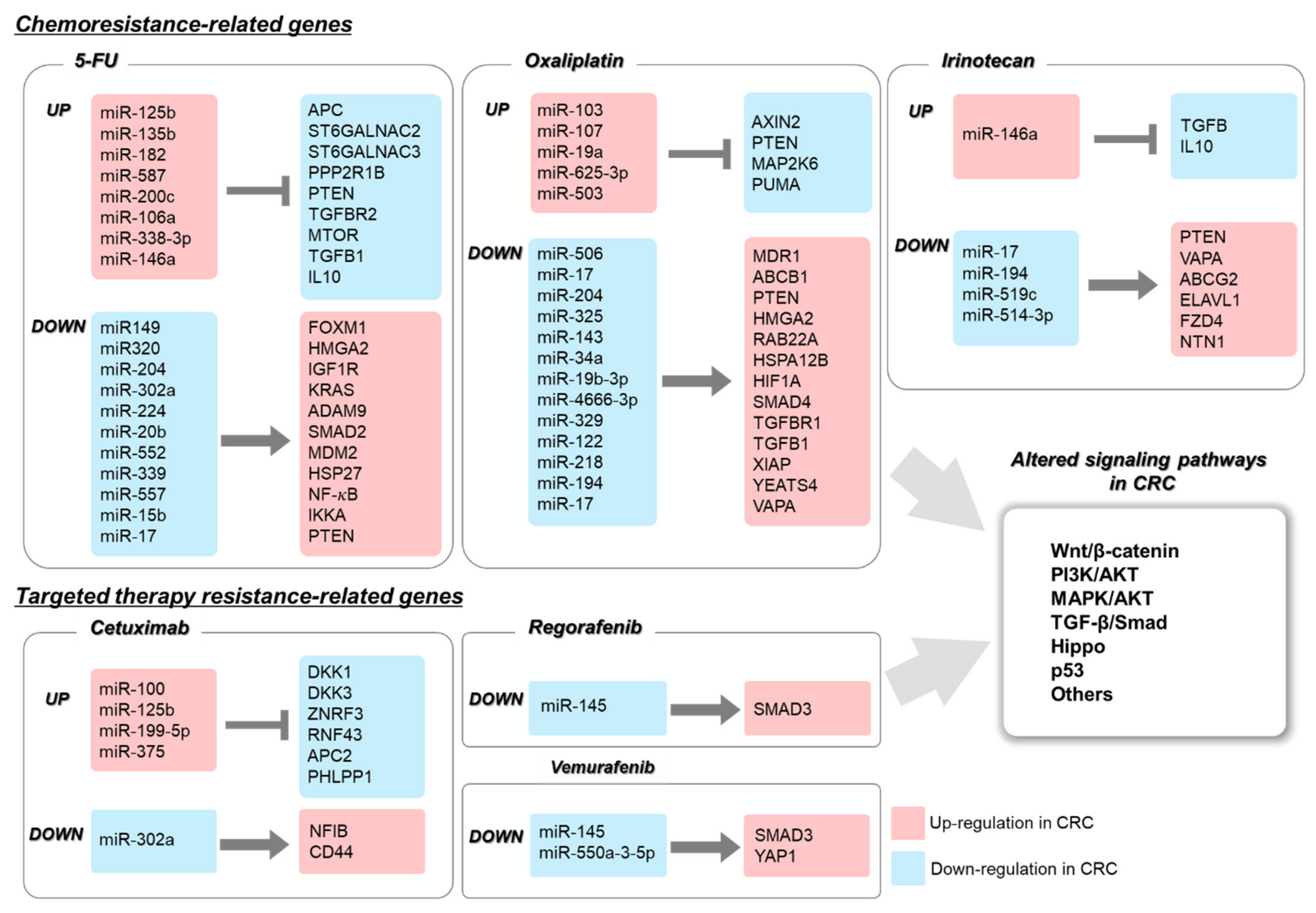Pharmaceuticals 14 00136 g002