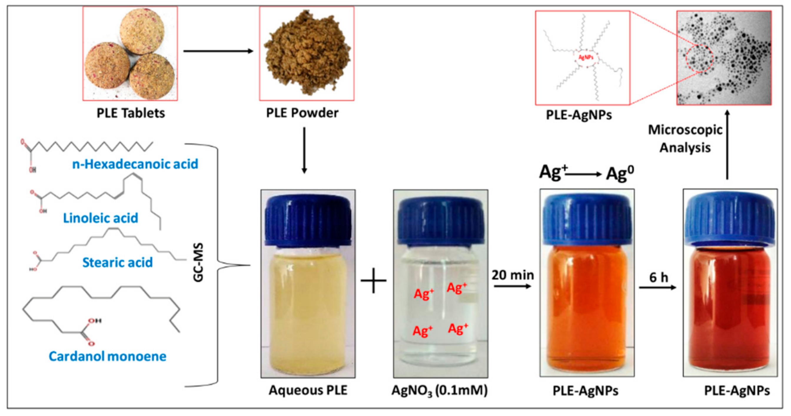 Pharmaceuticals 14 00139 g002 Pharmaceuticals 14 00139 g002