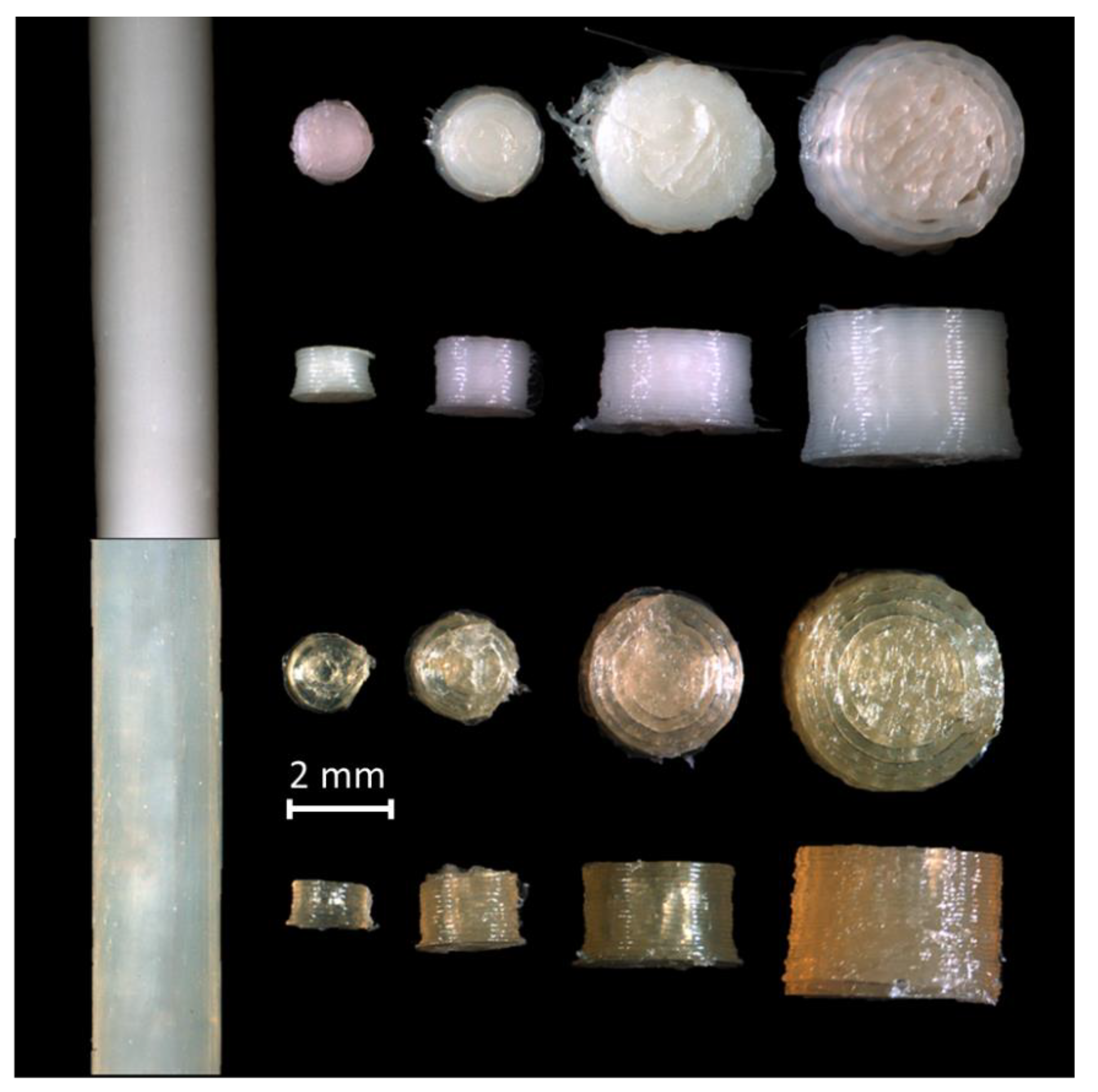 Pharmaceuticals 14 00143 g002 Pharmaceuticals 14 00143 g002