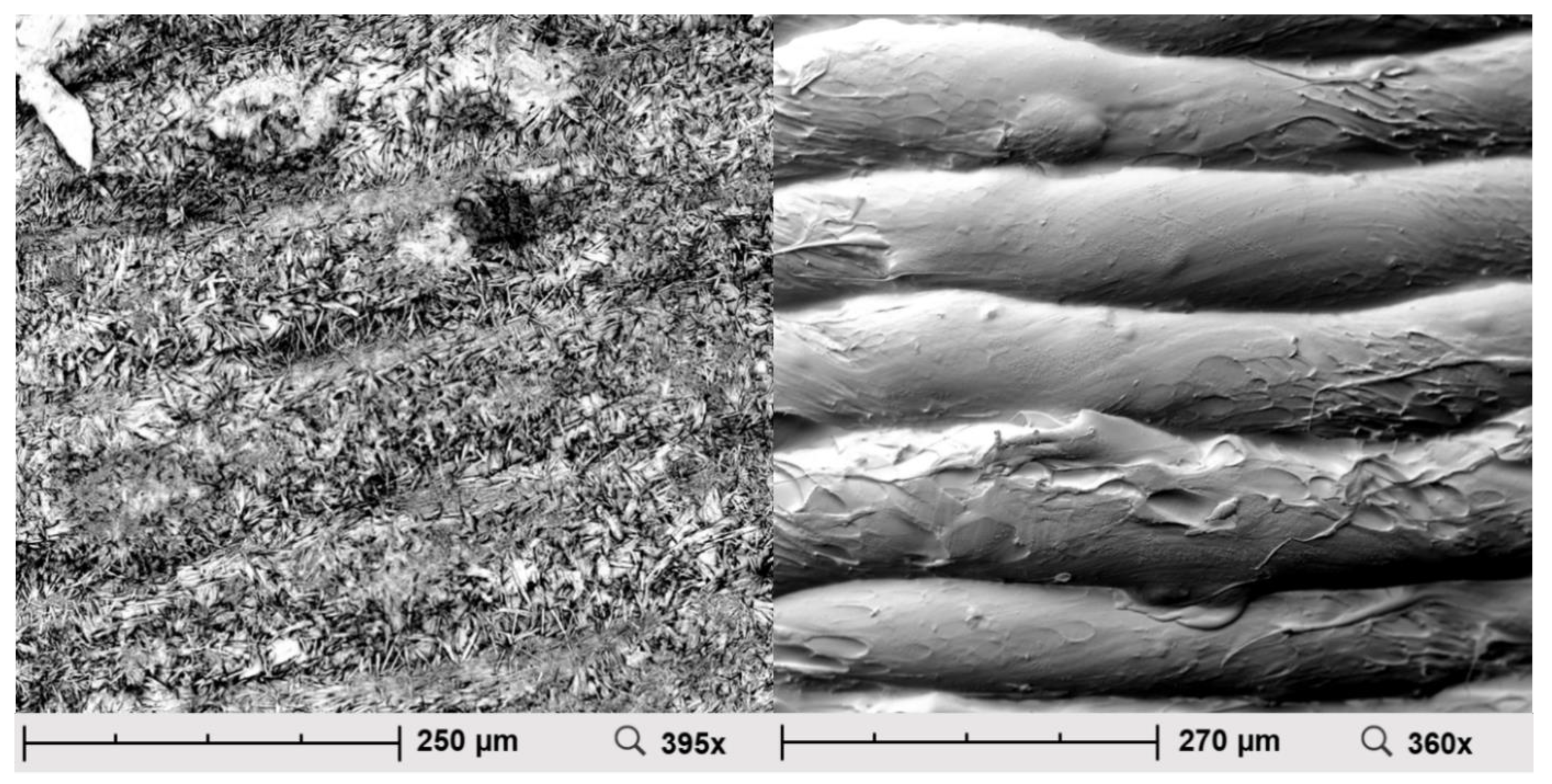Pharmaceuticals 14 00143 g003 Pharmaceuticals 14 00143 g003