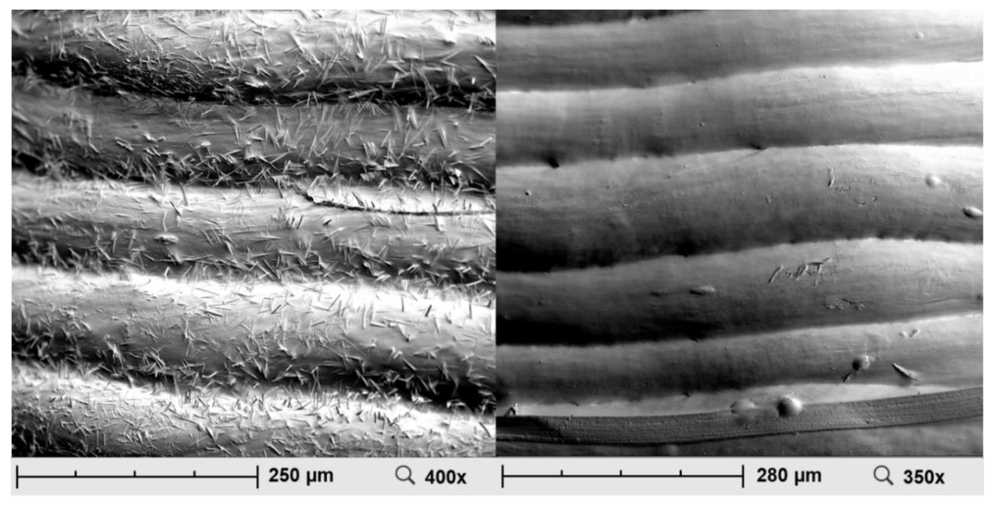 Pharmaceuticals 14 00143 g004 Pharmaceuticals 14 00143 g004