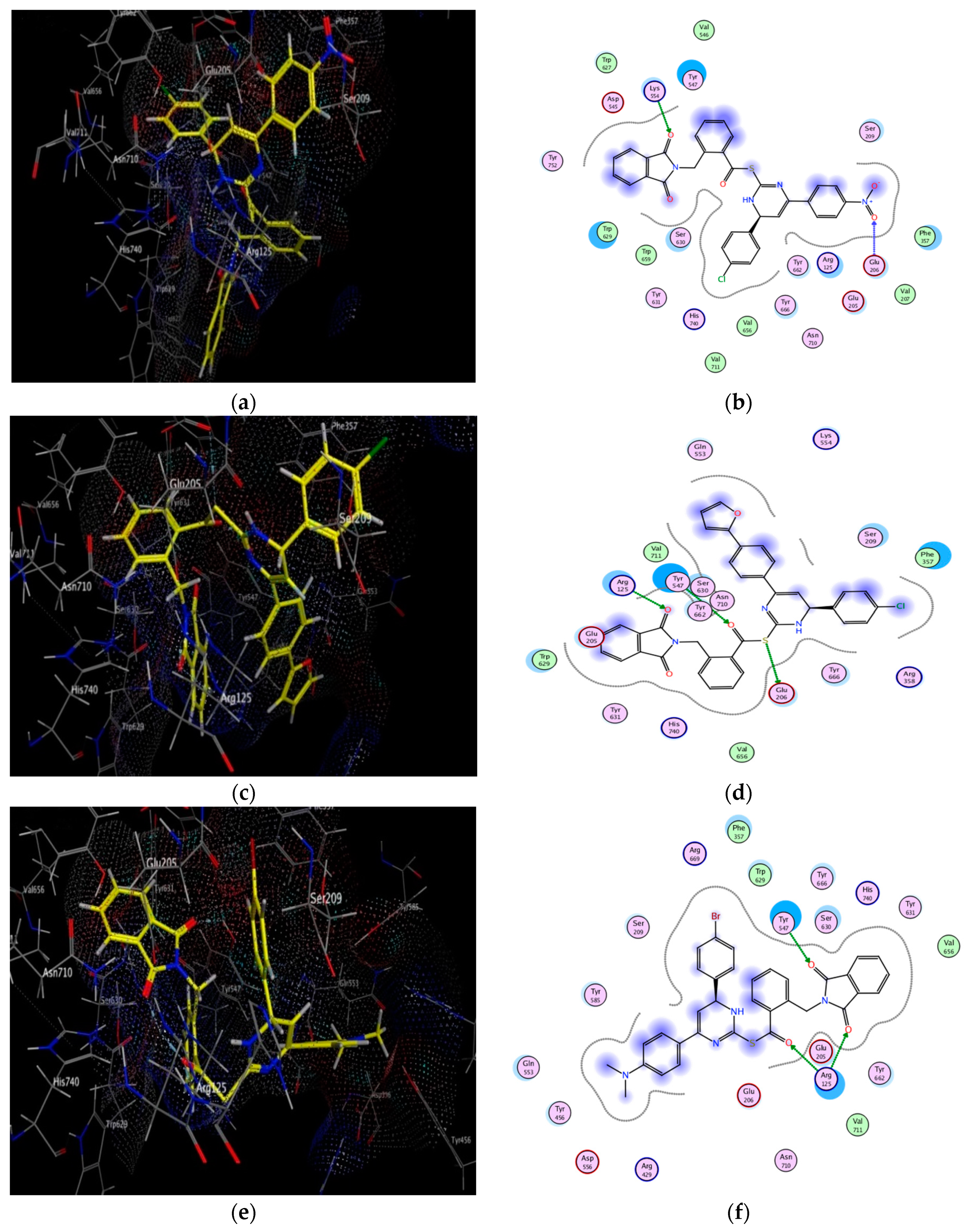 Pharmaceuticals 14 00144 g006a Pharmaceuticals 14 00144 g006a