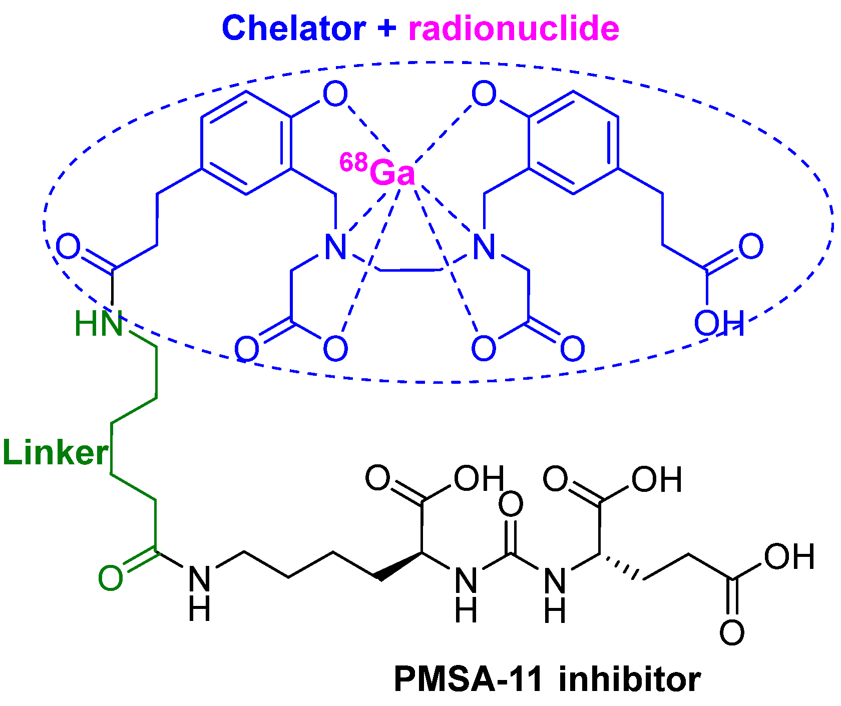 Pharmaceuticals 14 00145 g006