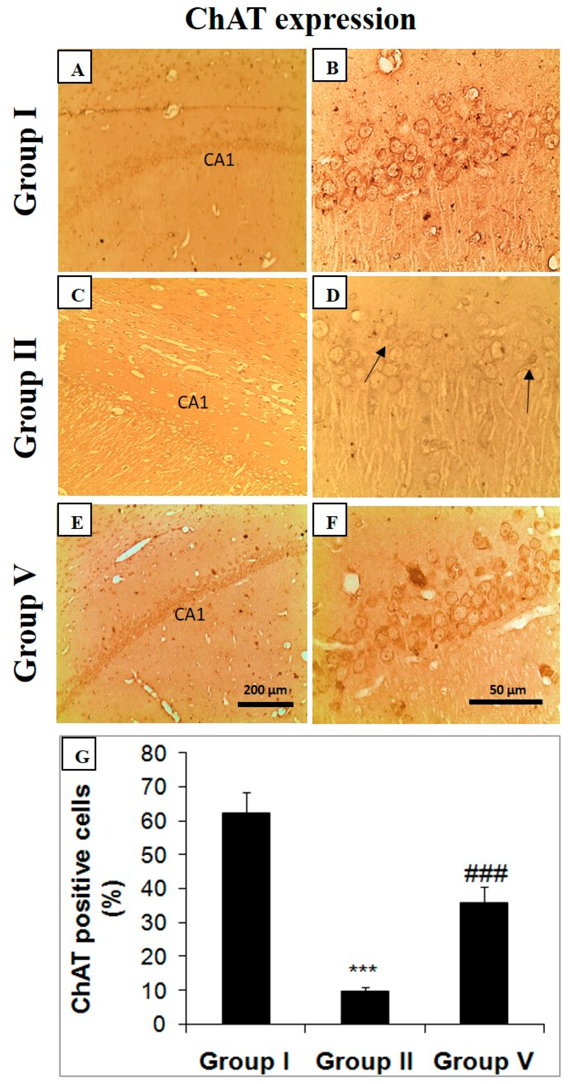 Pharmaceuticals 14 00146 g004 Pharmaceuticals 14 00146 g004