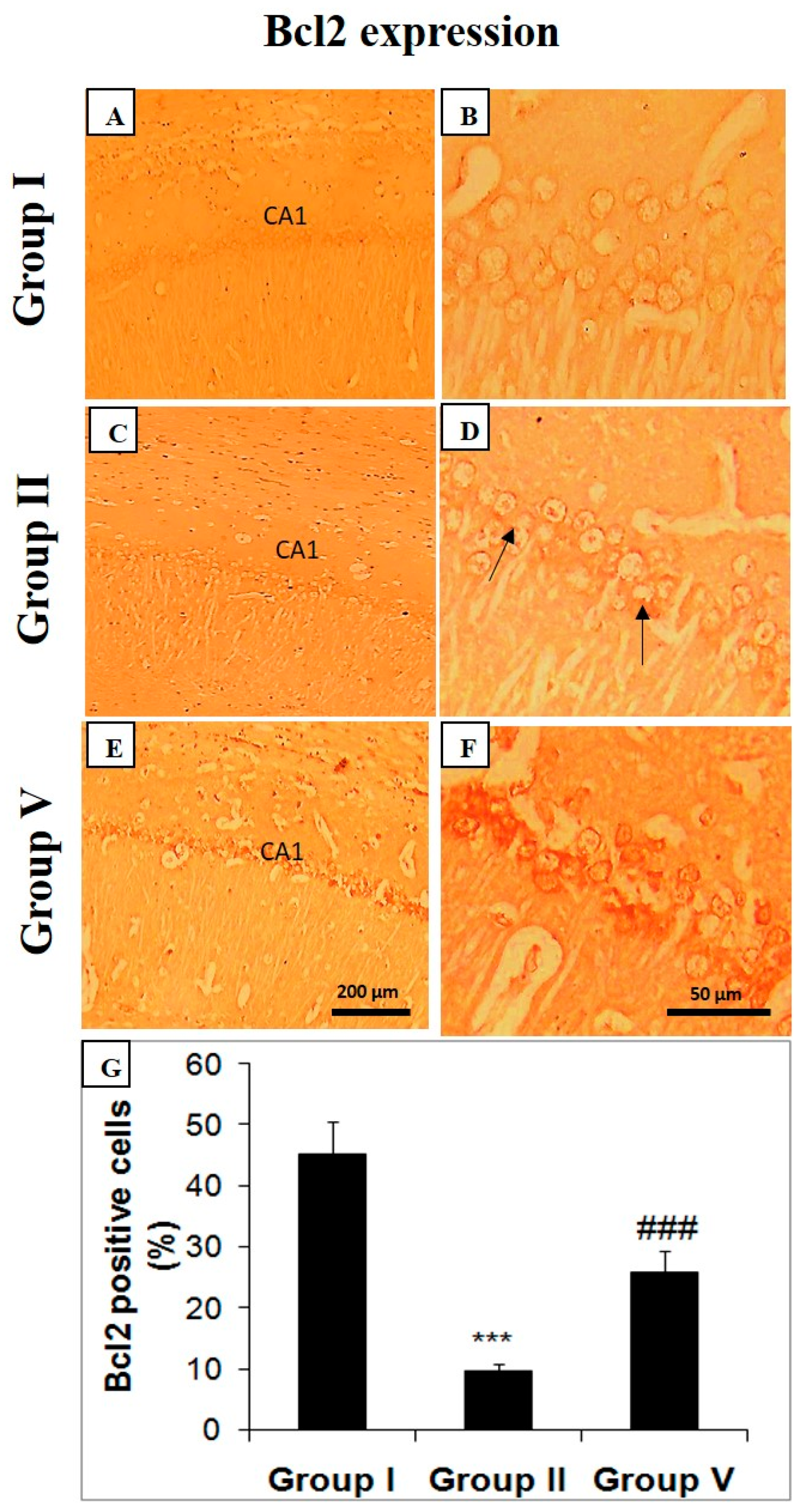 Pharmaceuticals 14 00146 g005 Pharmaceuticals 14 00146 g005