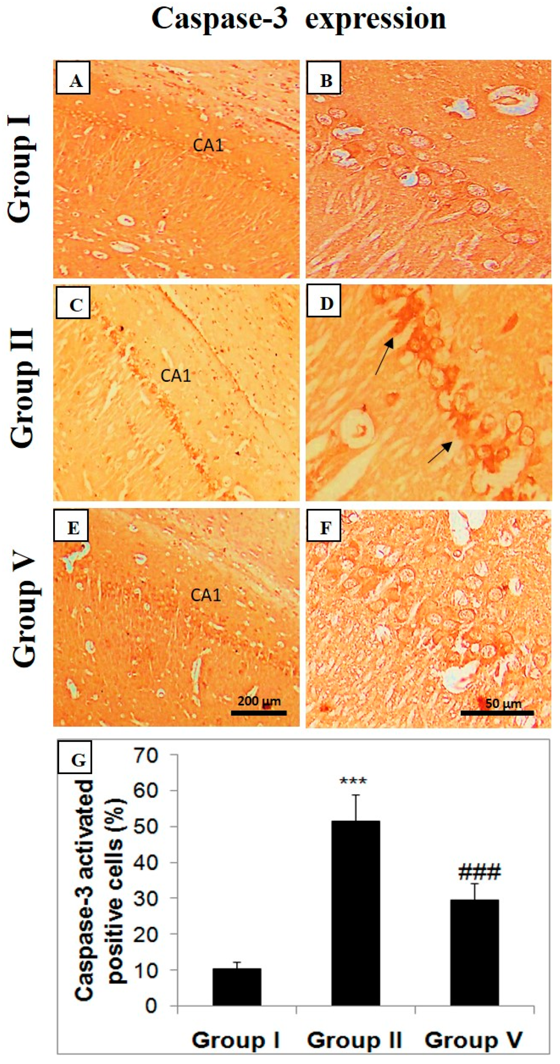 Pharmaceuticals 14 00146 g006 Pharmaceuticals 14 00146 g006