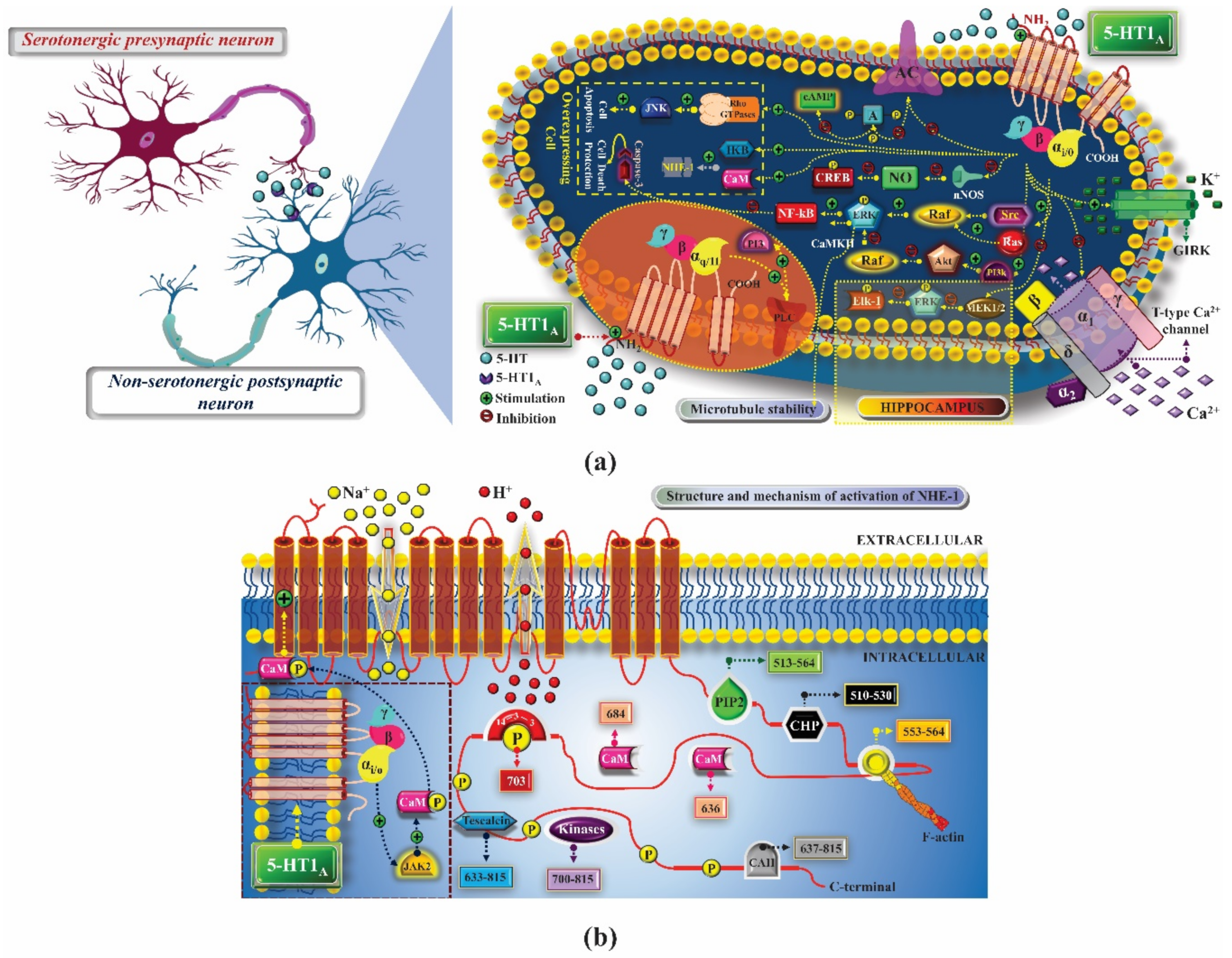 Pharmaceuticals 14 00148 g001 Pharmaceuticals 14 00148 g001