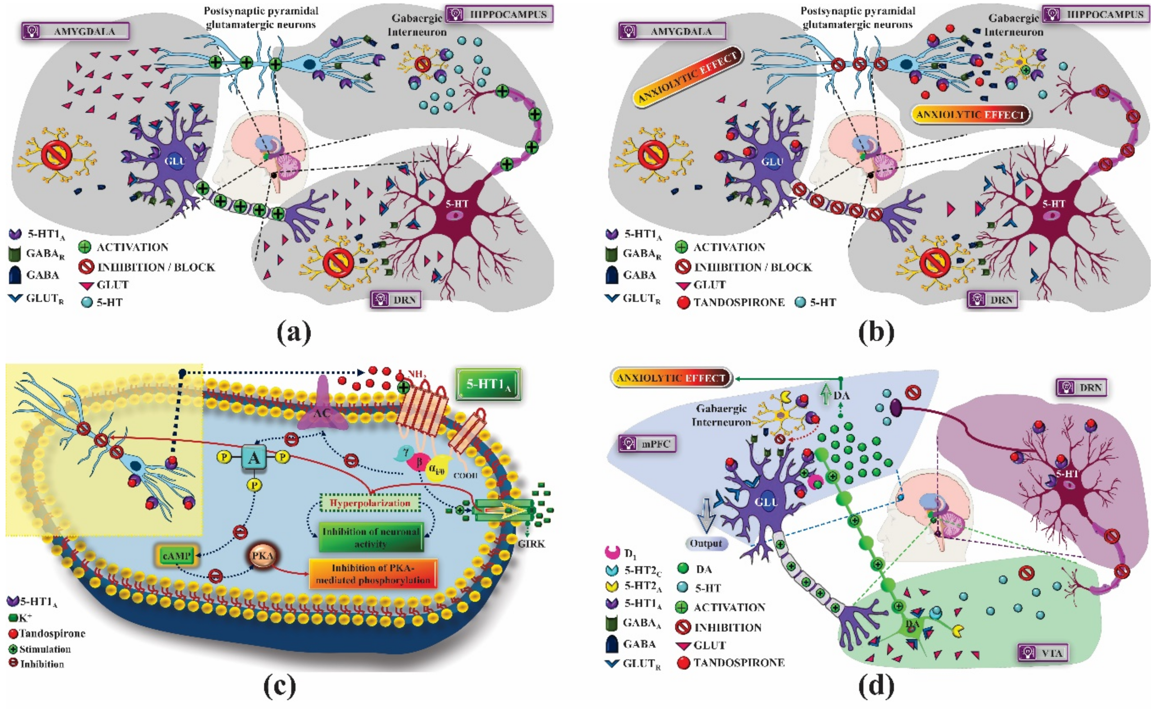 Pharmaceuticals 14 00148 g003 Pharmaceuticals 14 00148 g003