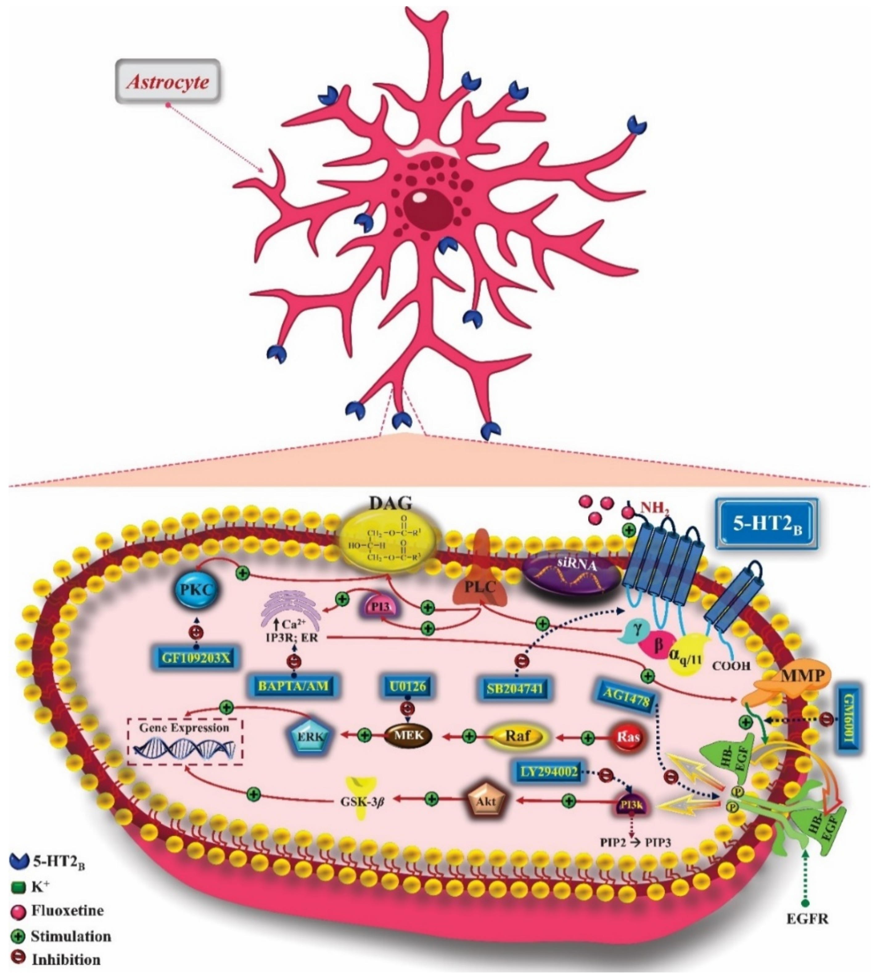 Pharmaceuticals 14 00148 g006 Pharmaceuticals 14 00148 g006
