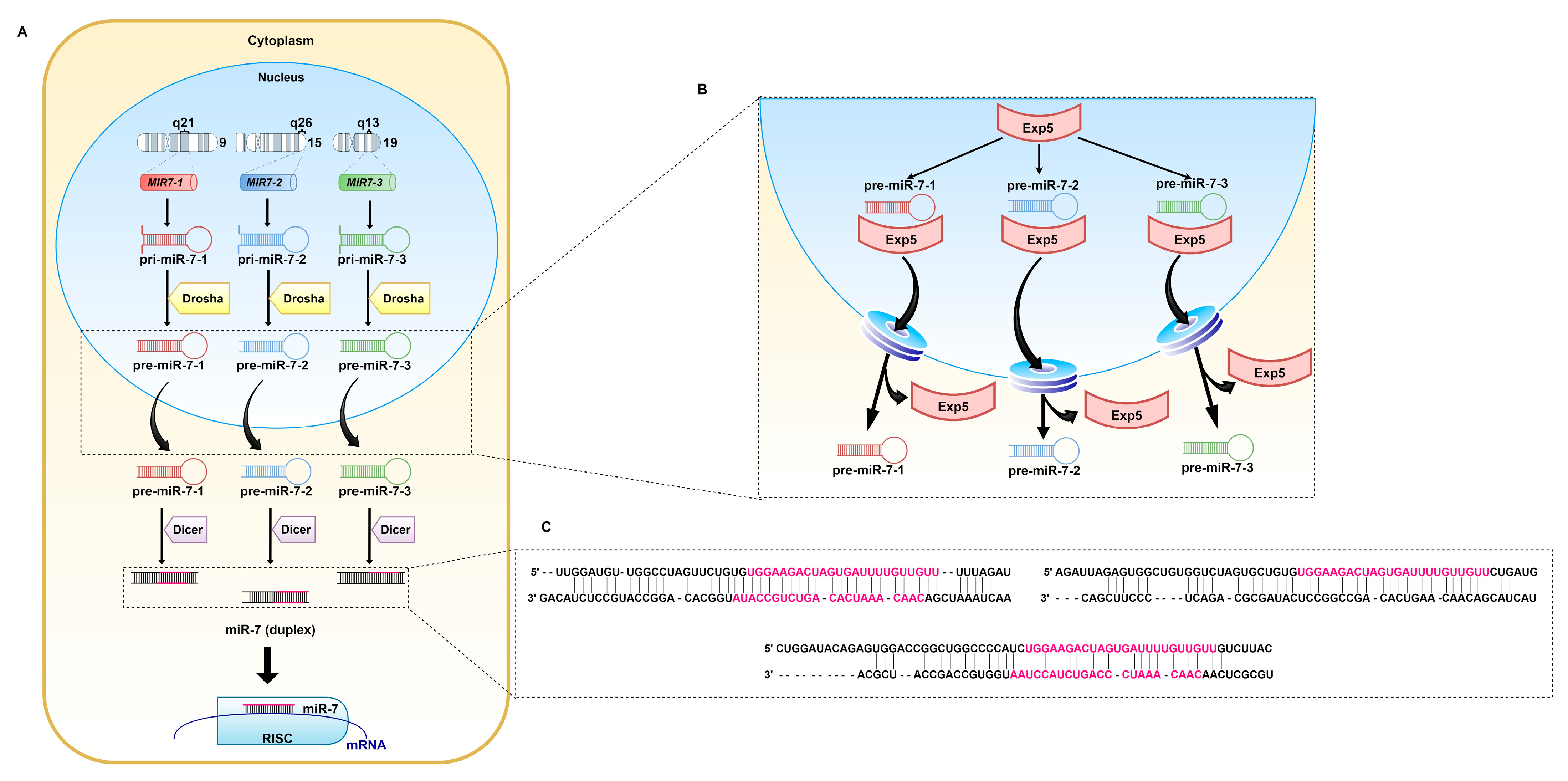 Pharmaceuticals 14 00149 g002 Pharmaceuticals 14 00149 g002