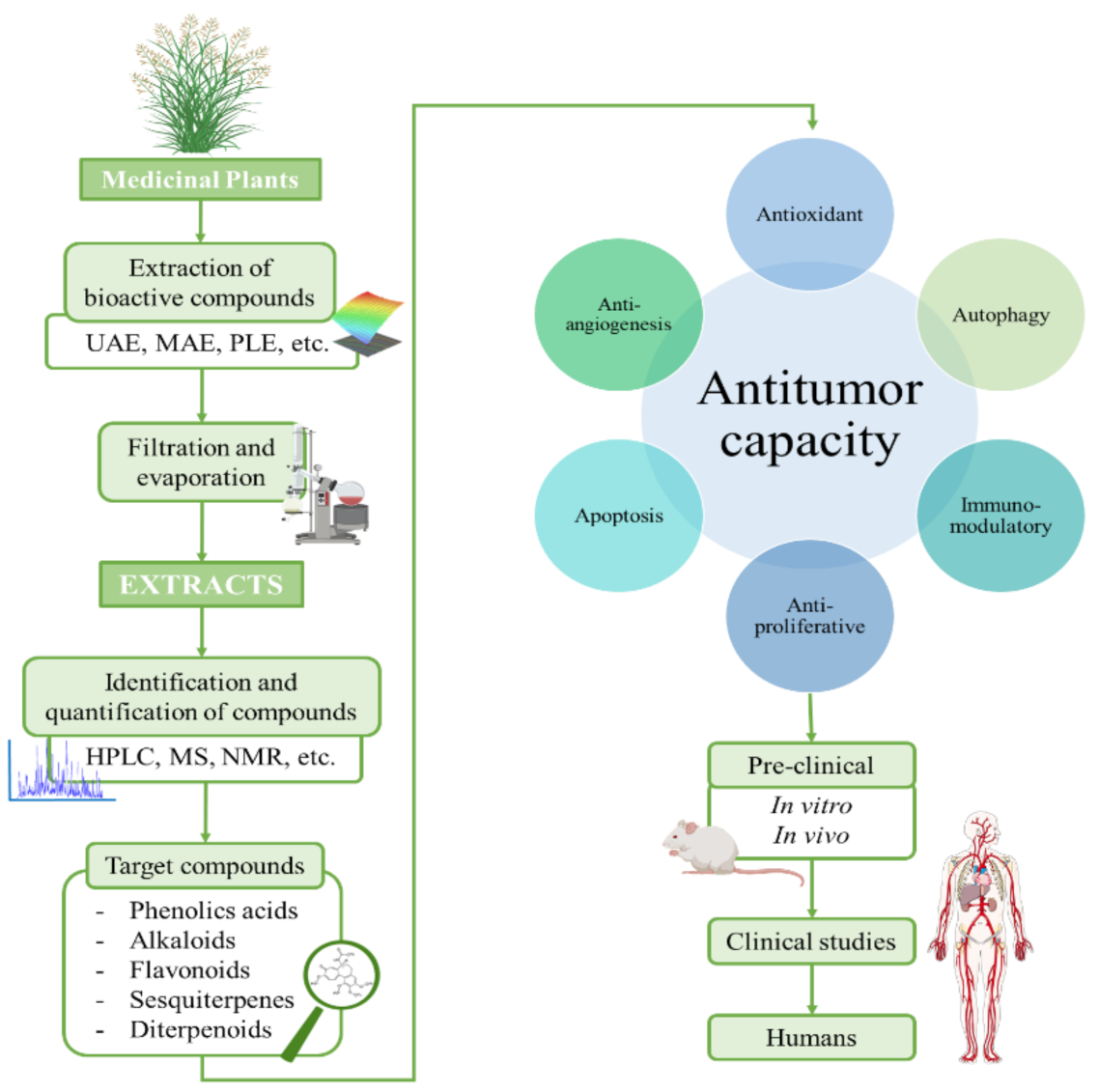 Pharmaceuticals 14 00157 g002 Pharmaceuticals 14 00157 g002