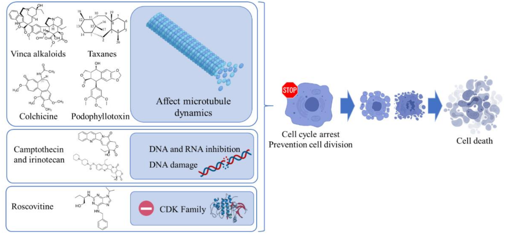 Pharmaceuticals 14 00157 g003 Pharmaceuticals 14 00157 g003