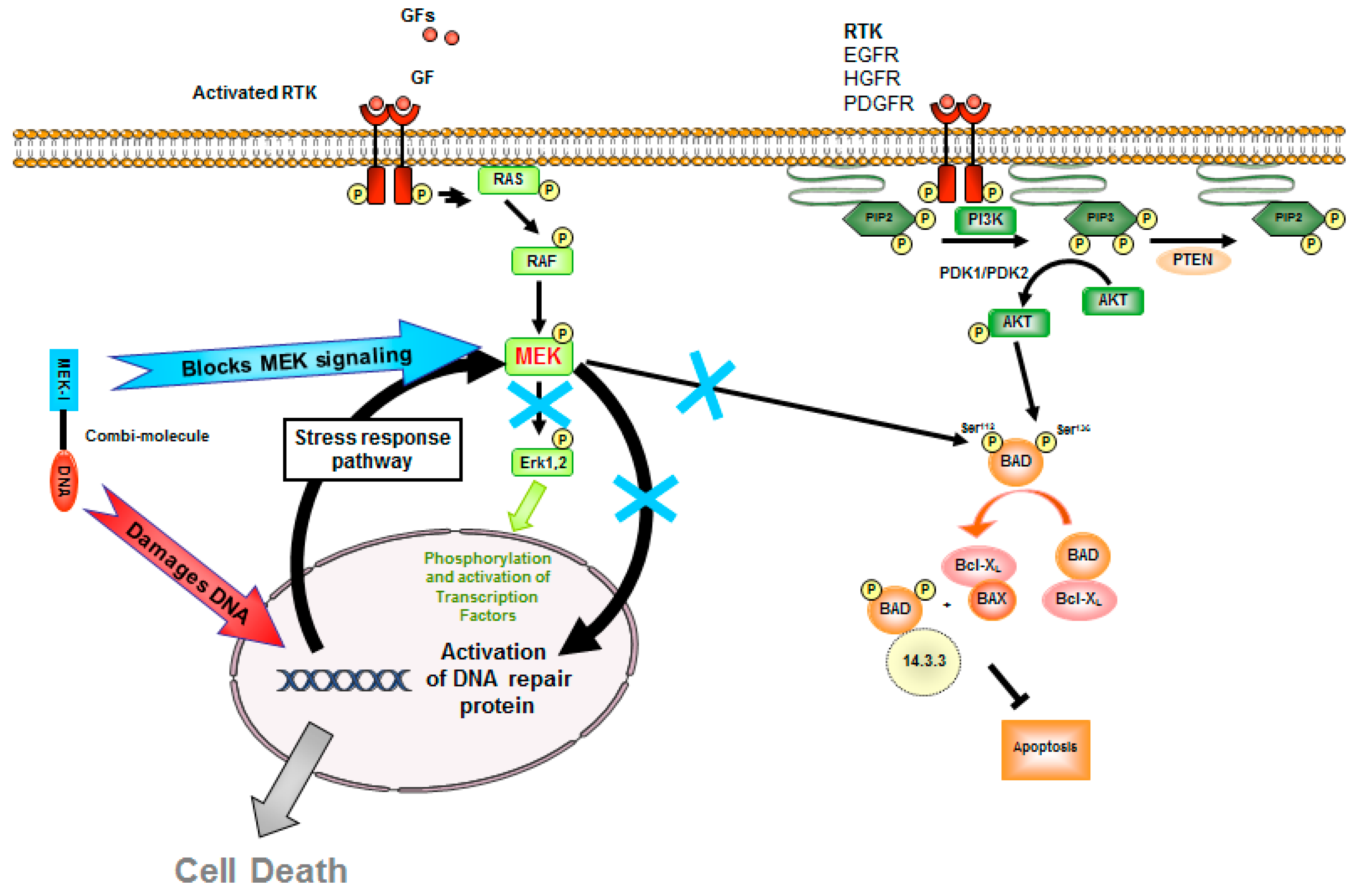 Pharmaceuticals 14 00160 g001 Pharmaceuticals 14 00160 g001