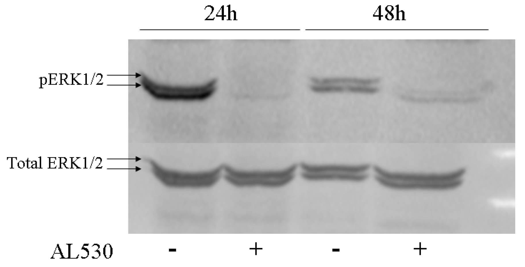 Pharmaceuticals 14 00160 g003 Pharmaceuticals 14 00160 g003