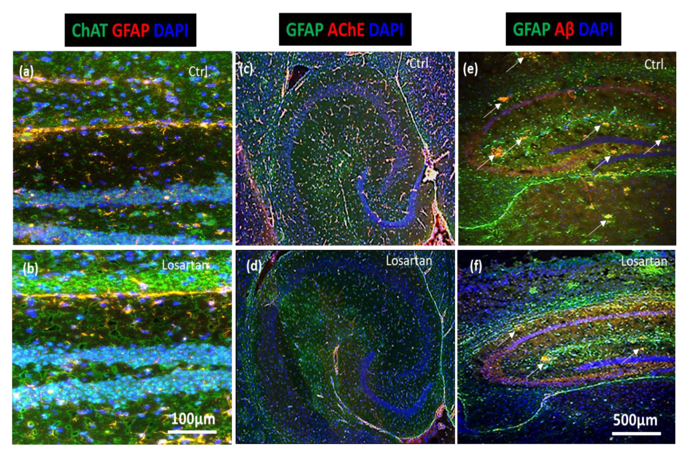 Pharmaceuticals 14 00166 g005 Pharmaceuticals 14 00166 g005