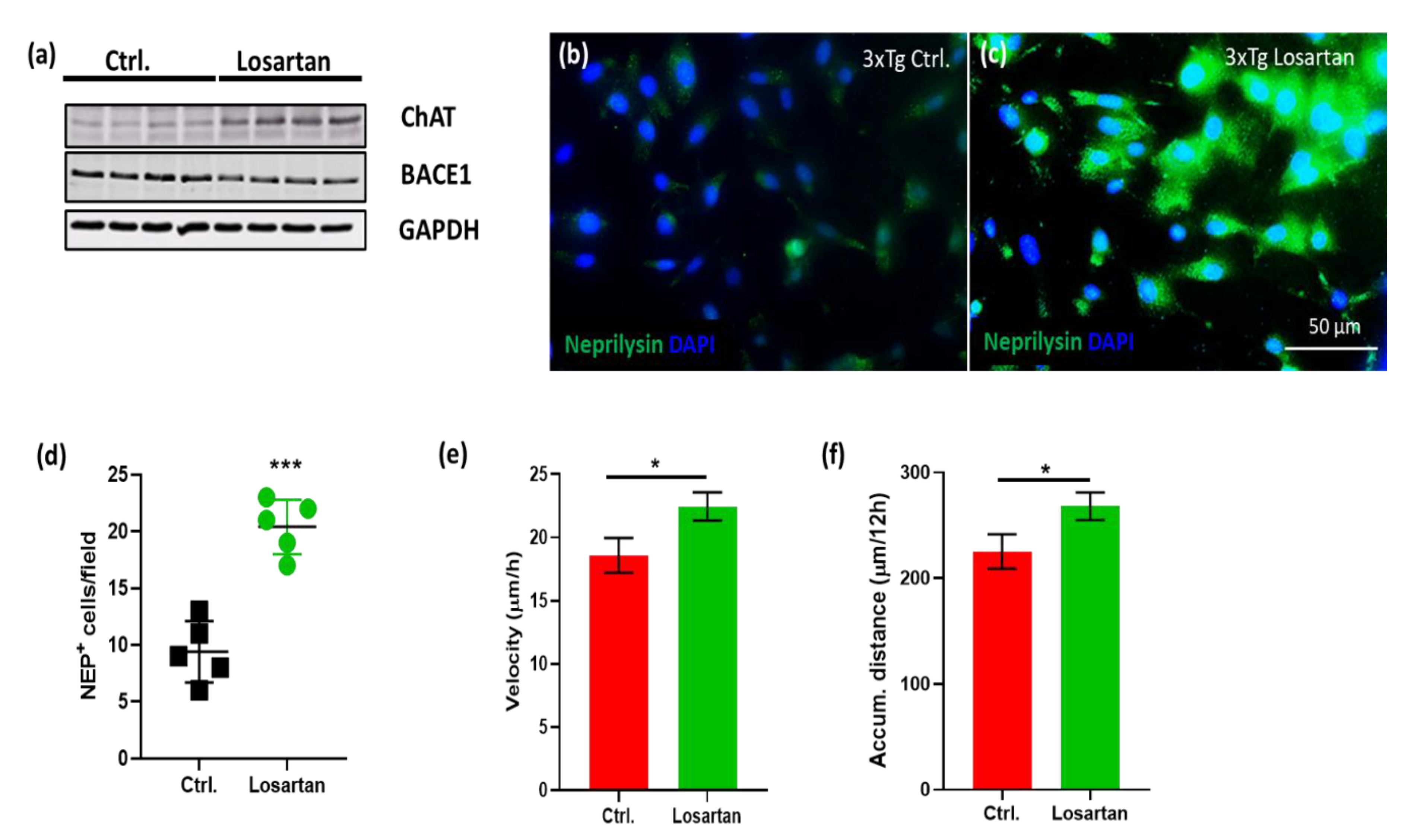 Pharmaceuticals 14 00166 g007 Pharmaceuticals 14 00166 g007