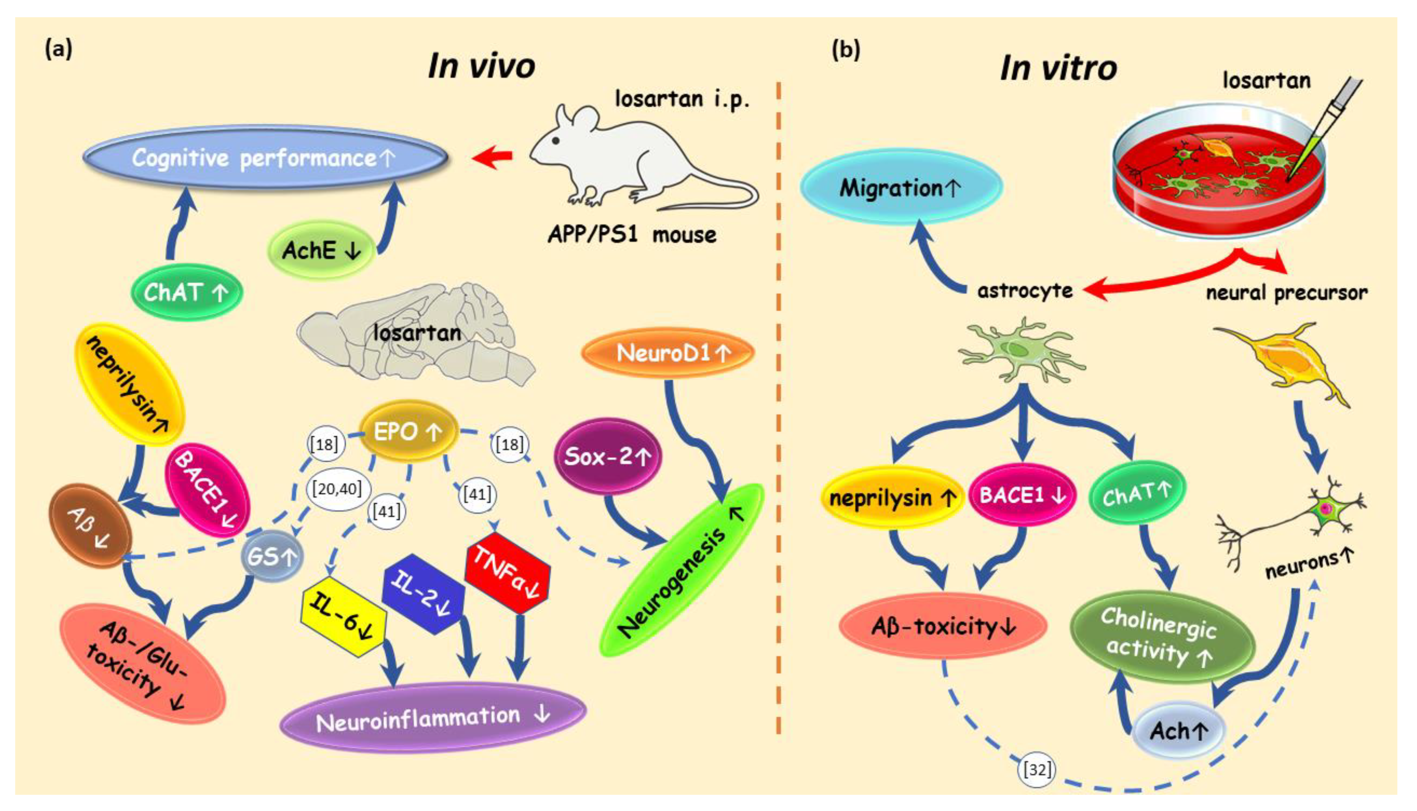 Pharmaceuticals 14 00166 g008 Pharmaceuticals 14 00166 g008