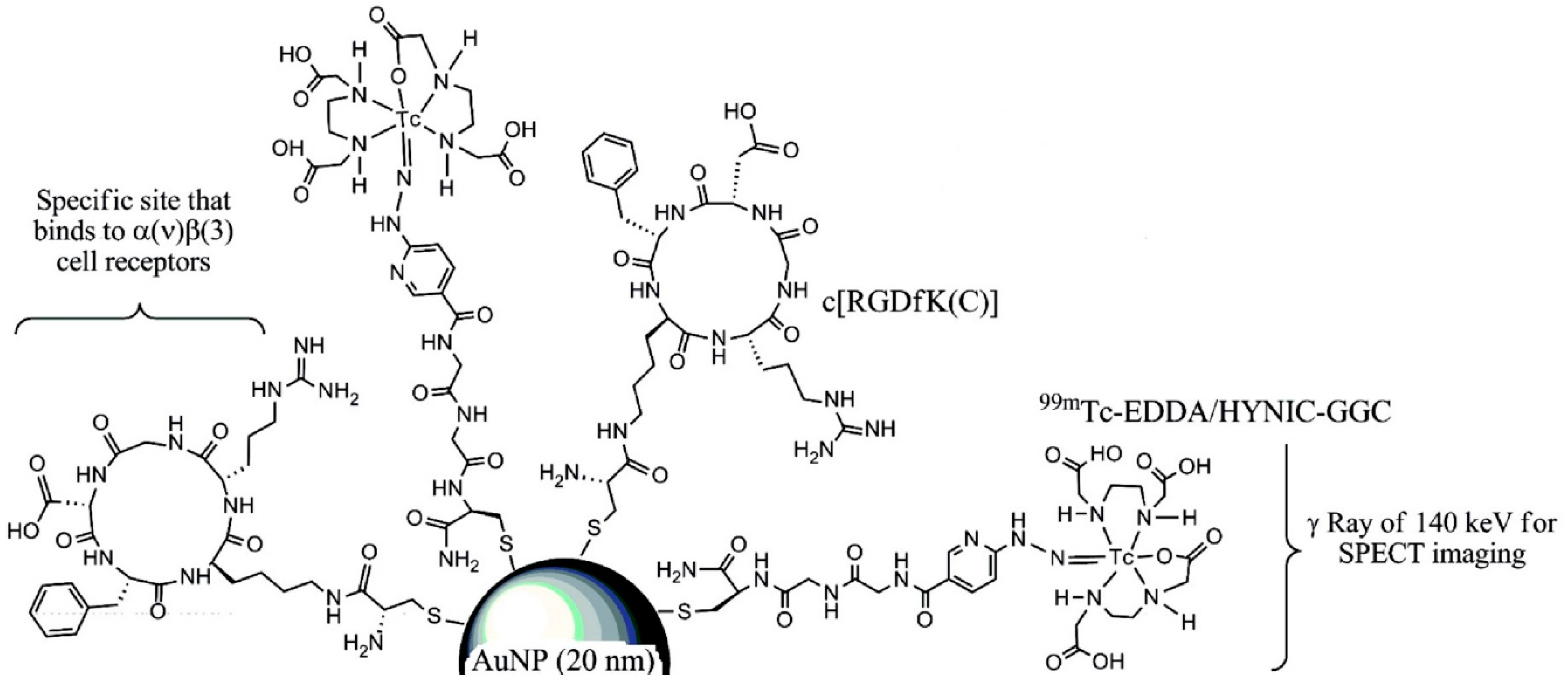 Pharmaceuticals 14 00167 g010