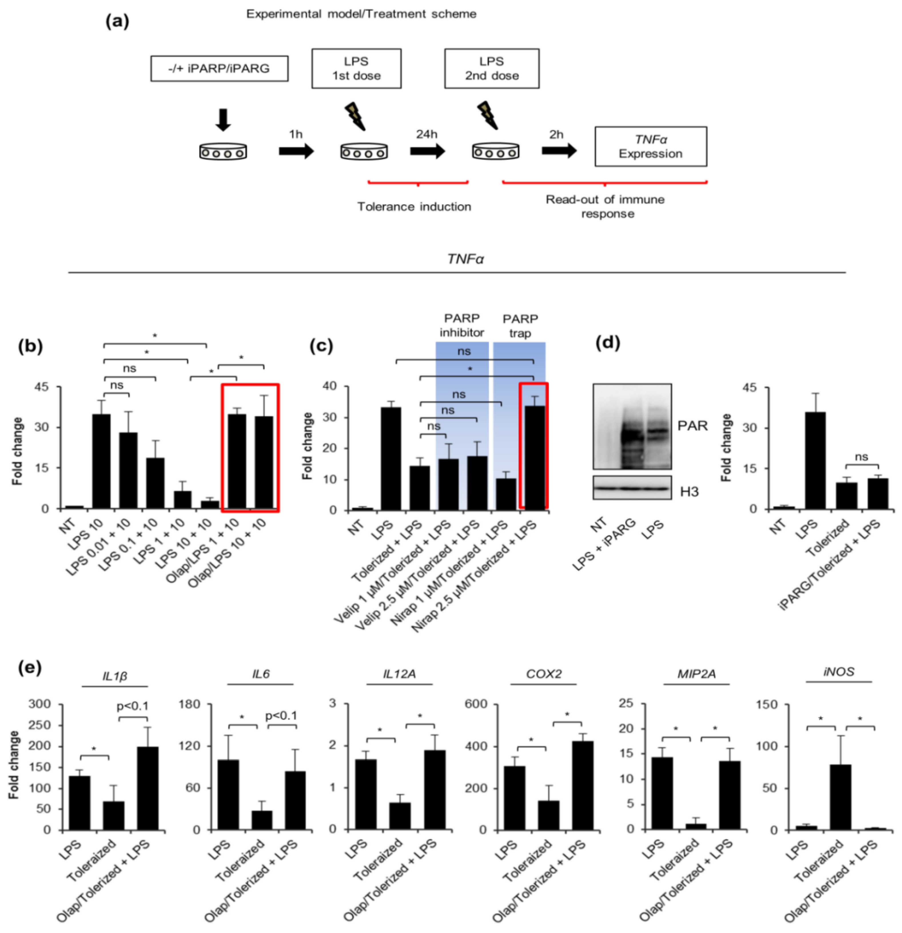 Pharmaceuticals 14 00170 g001 Pharmaceuticals 14 00170 g001