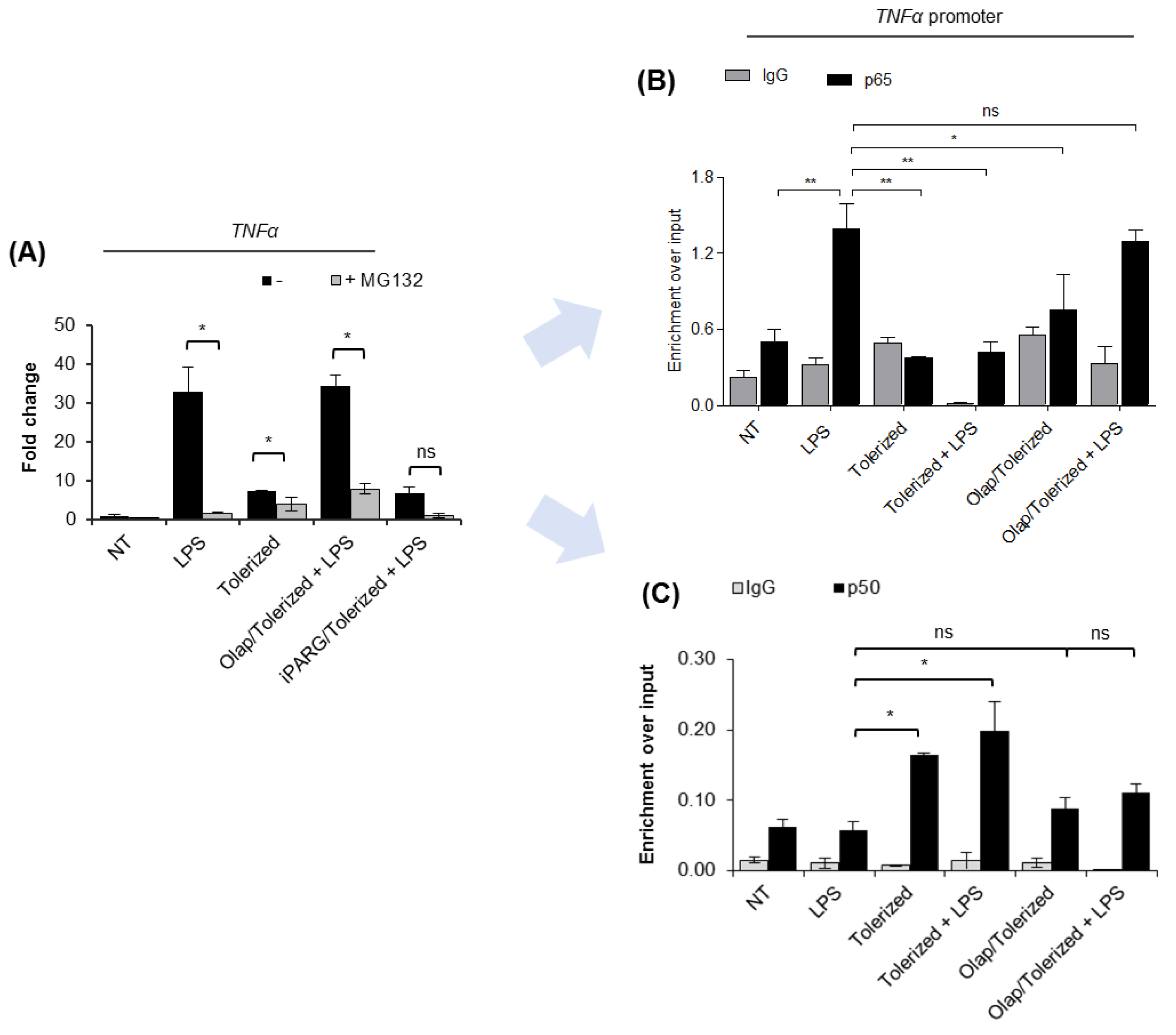 Pharmaceuticals 14 00170 g003 Pharmaceuticals 14 00170 g003