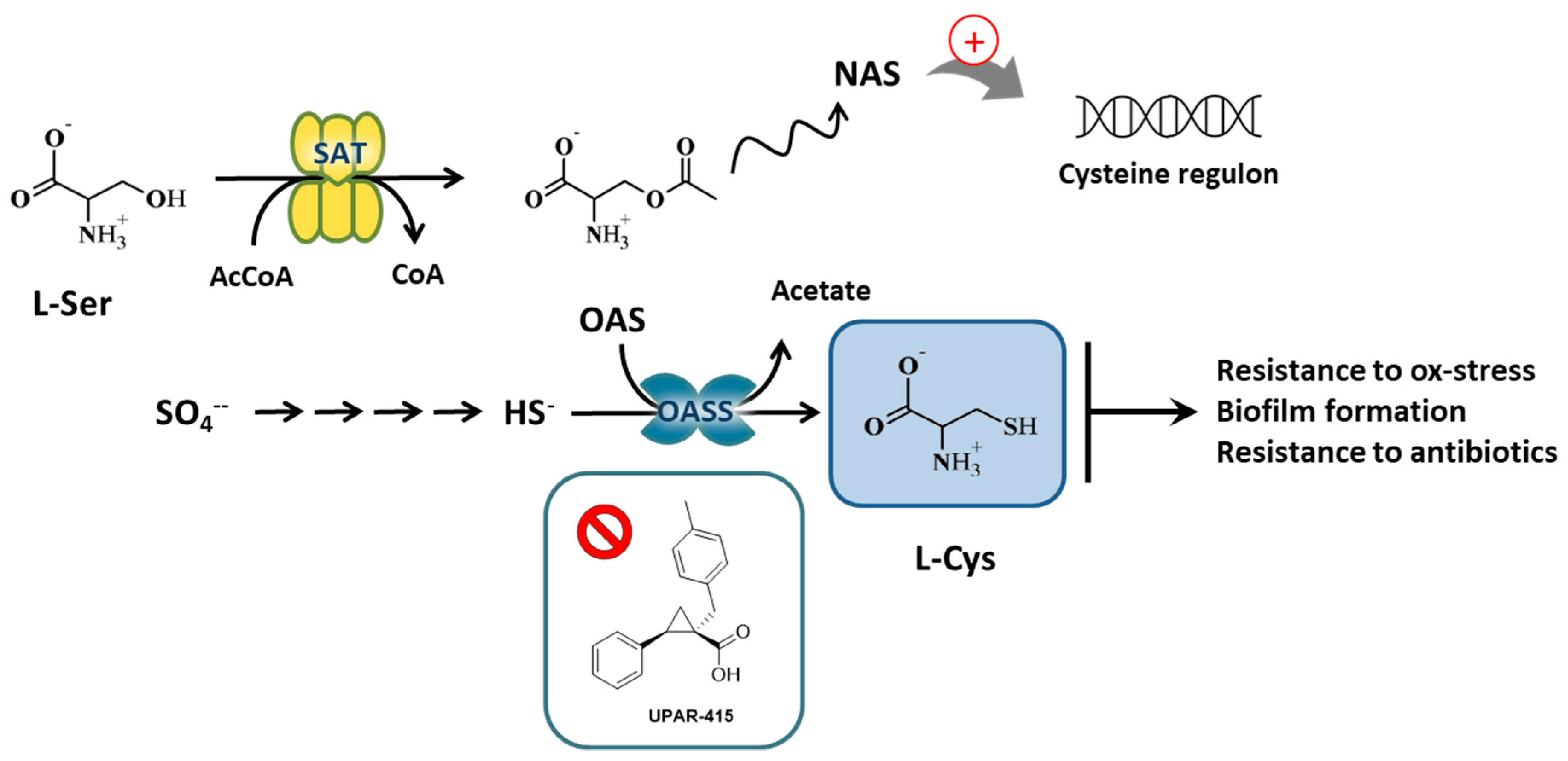 Pharmaceuticals 14 00174 g001