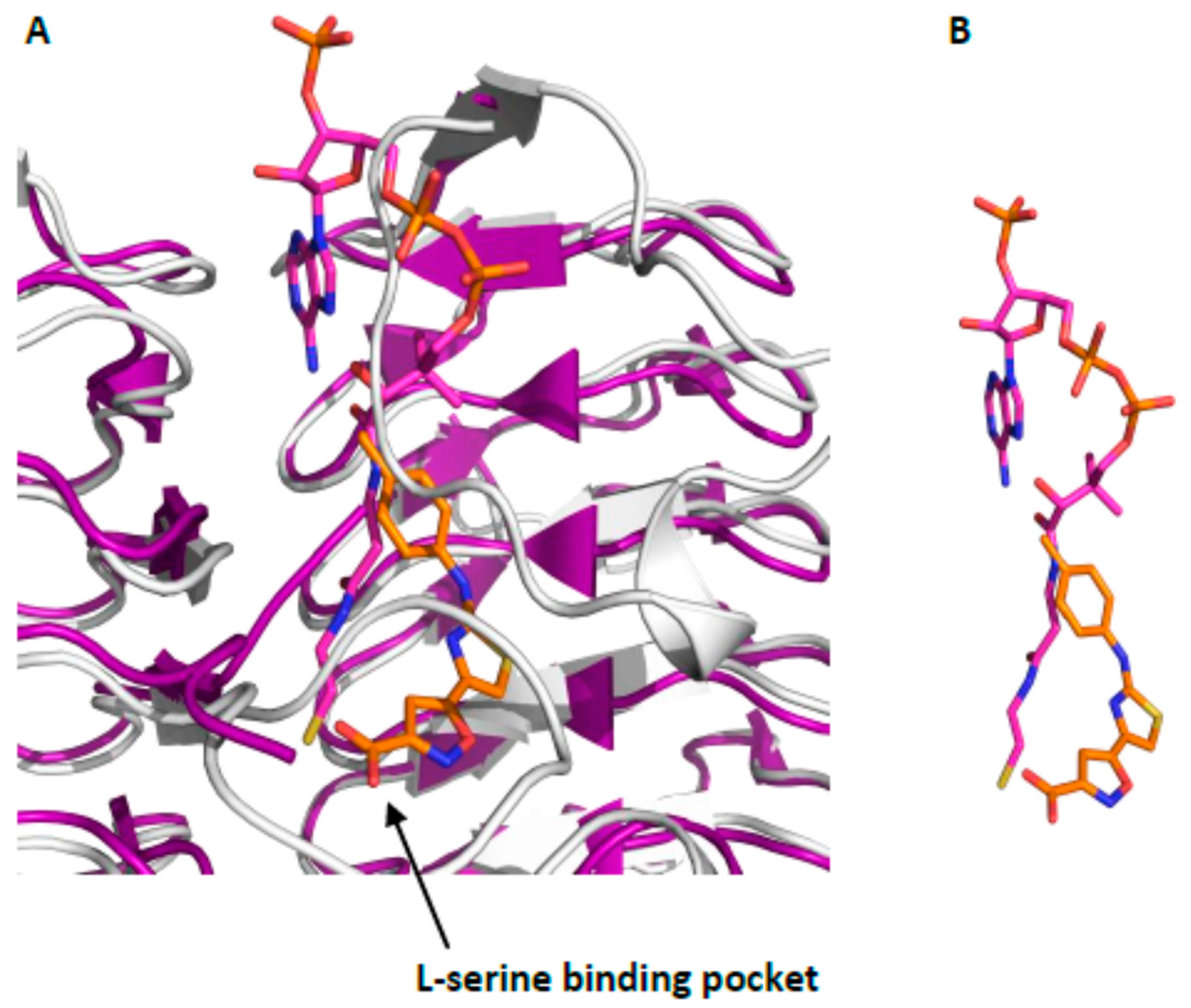 Pharmaceuticals 14 00174 g004