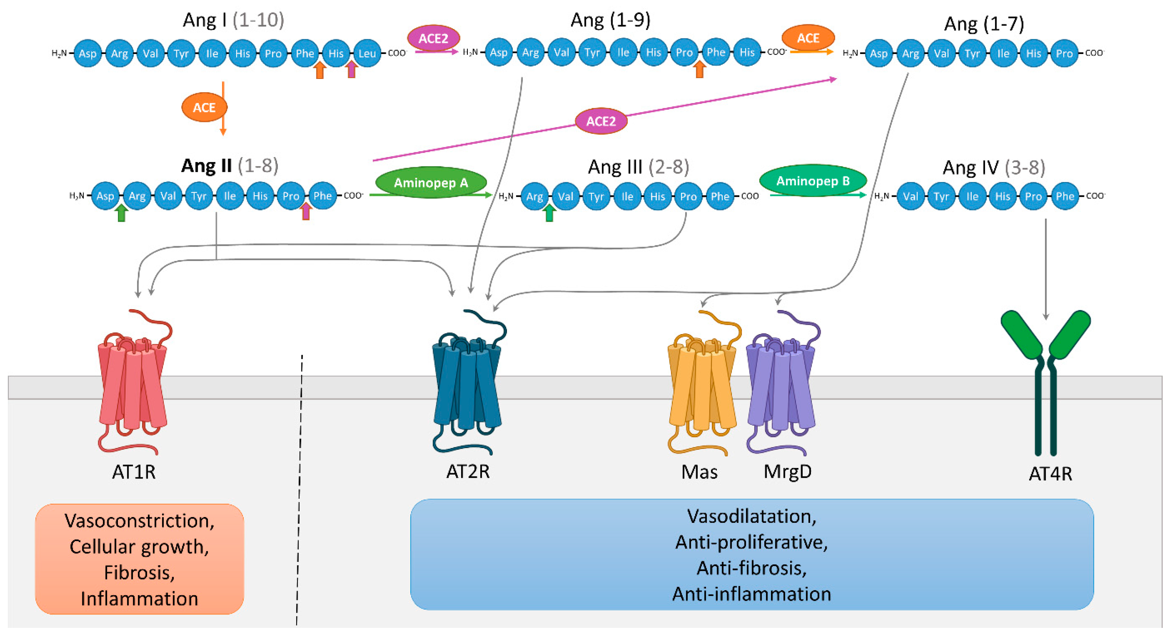 Pharmaceuticals 14 00175 g001 Pharmaceuticals 14 00175 g001