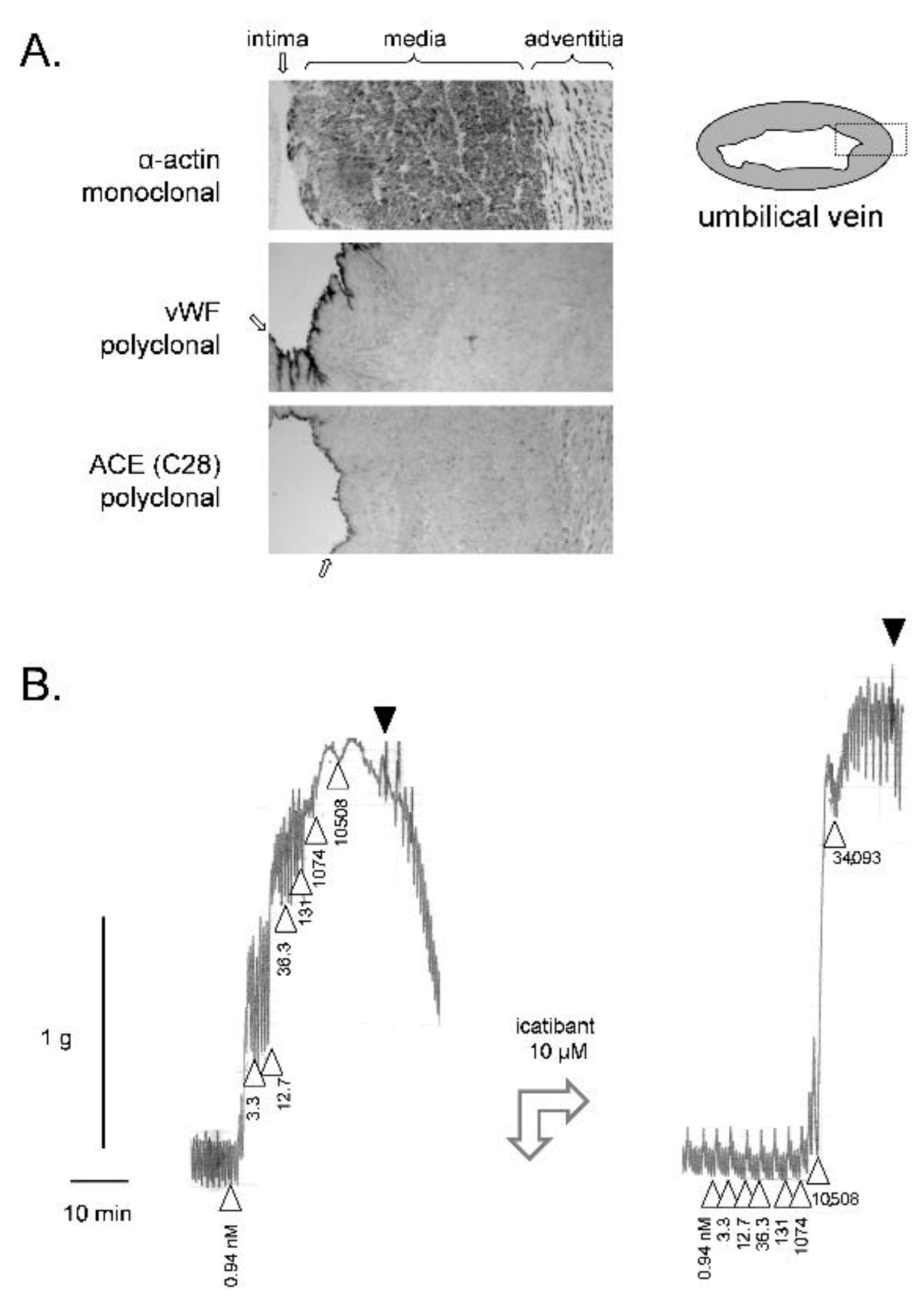Pharmaceuticals 14 00177 g001 Pharmaceuticals 14 00177 g001