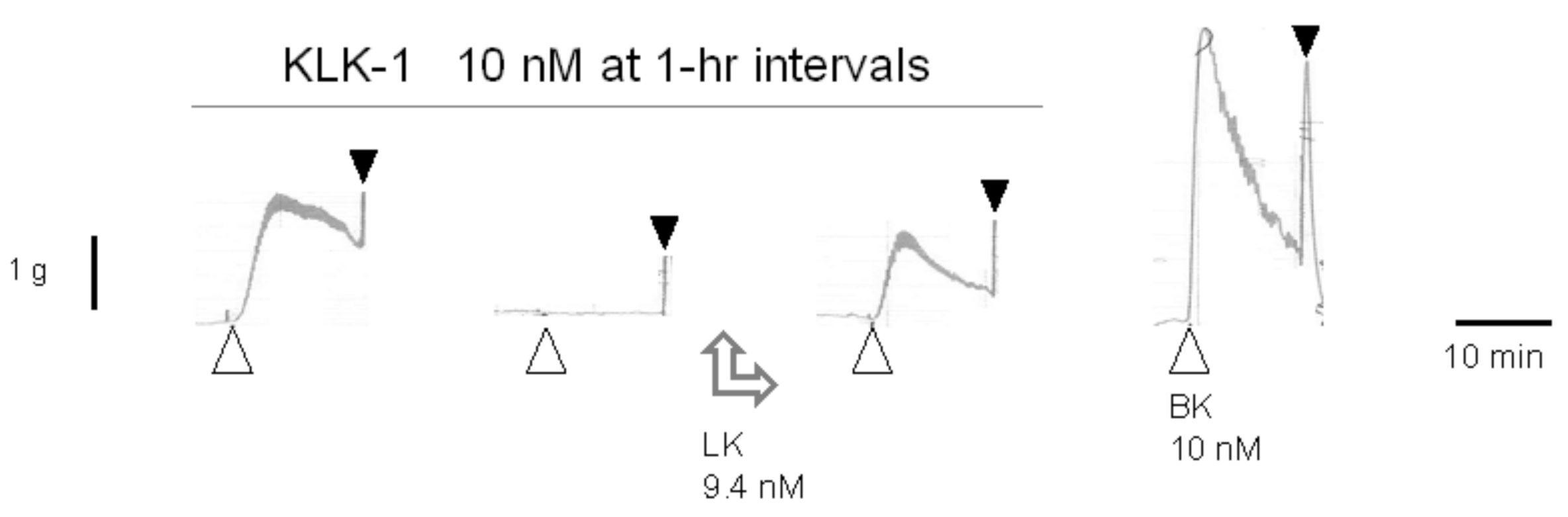 Pharmaceuticals 14 00177 g004 Pharmaceuticals 14 00177 g004