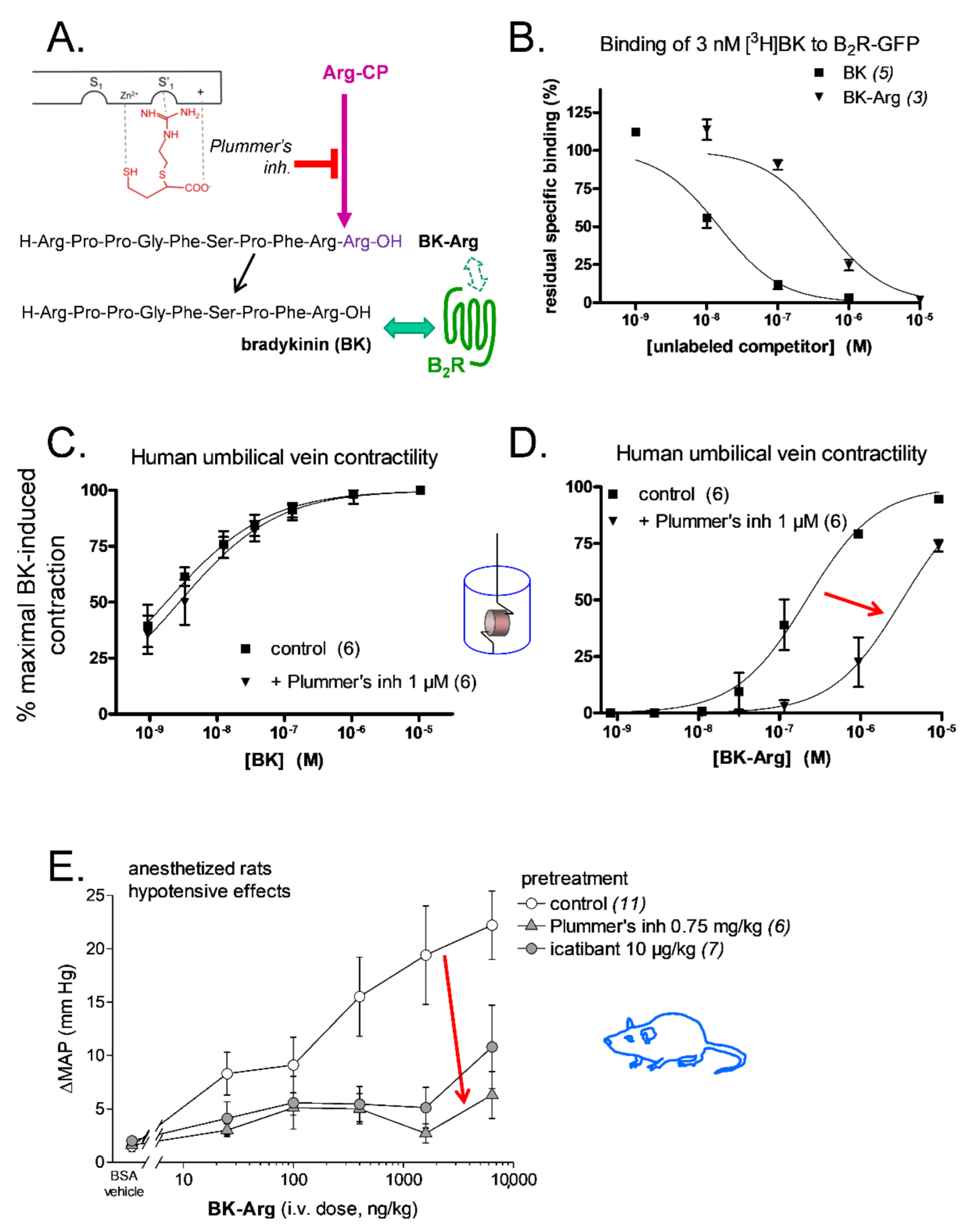 Pharmaceuticals 14 00177 g005 Pharmaceuticals 14 00177 g005